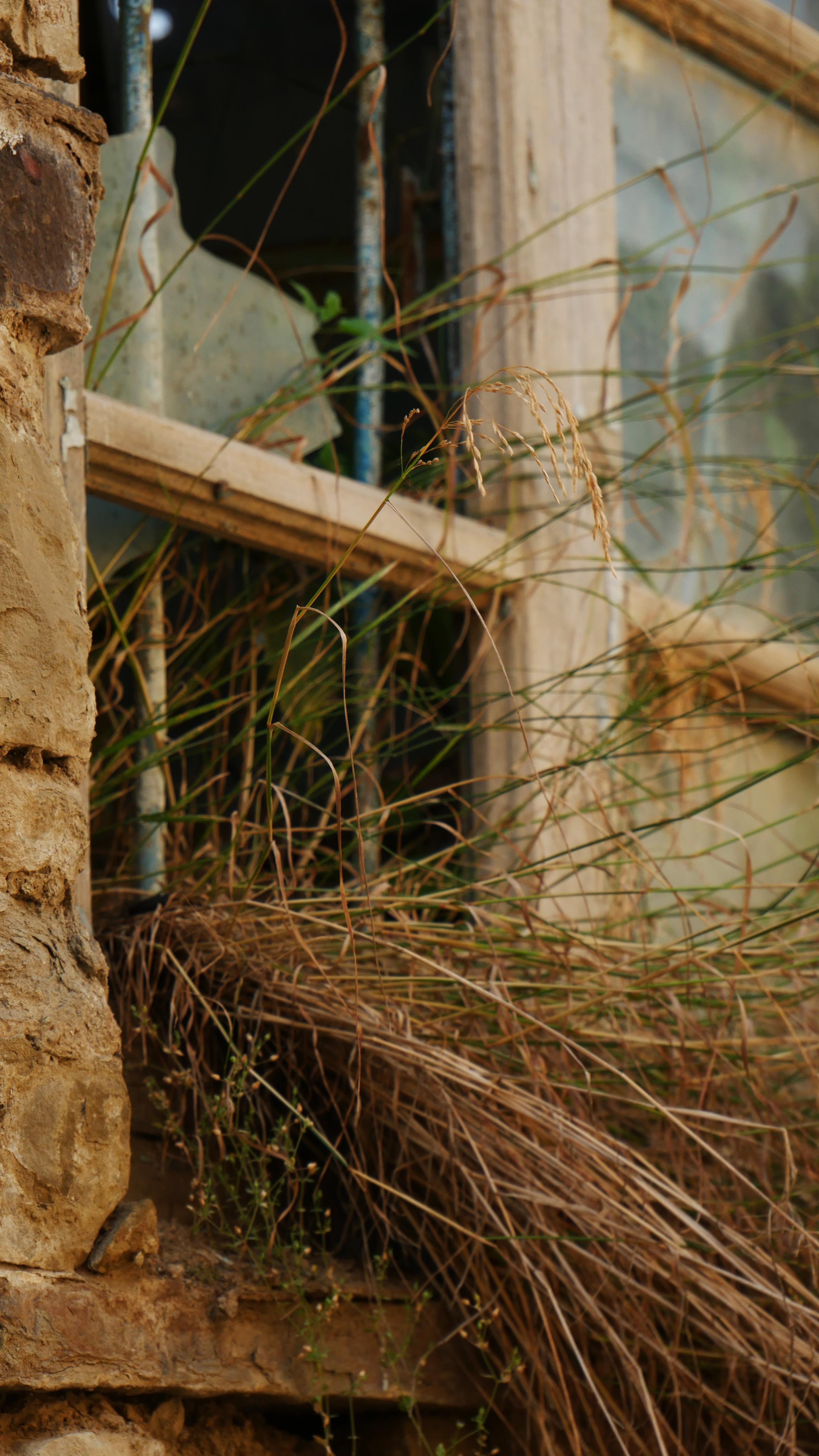 Kubachi. Ваш любимый фотограф