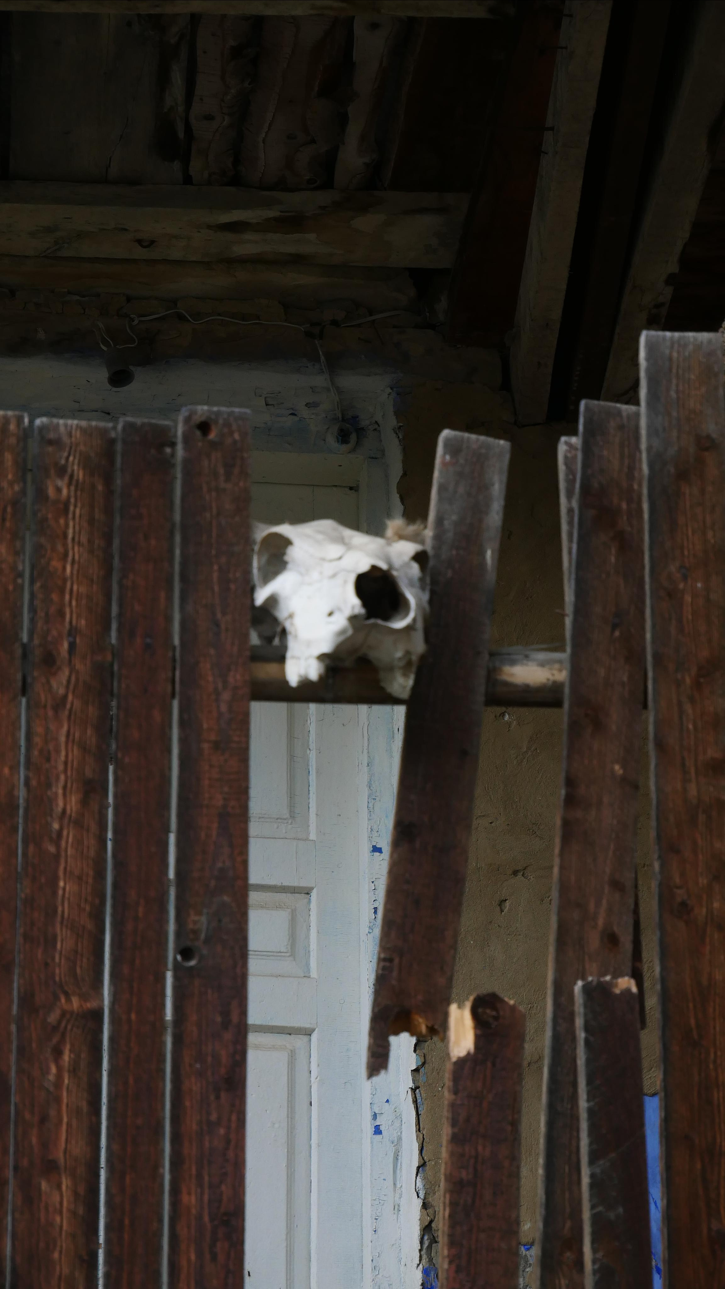 Kubachi. Ваш любимый фотограф