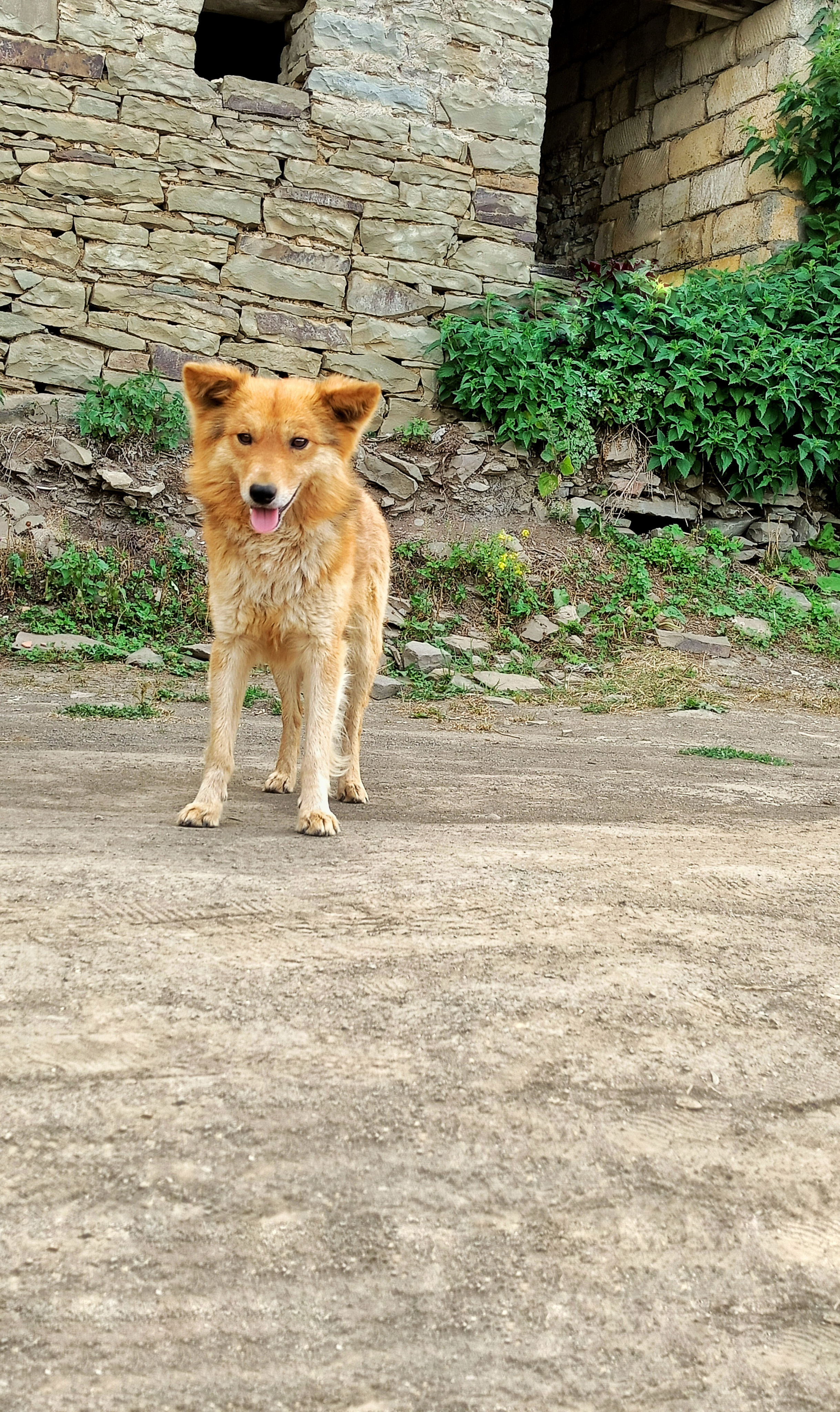 Animals. Ваш любимый фотограф