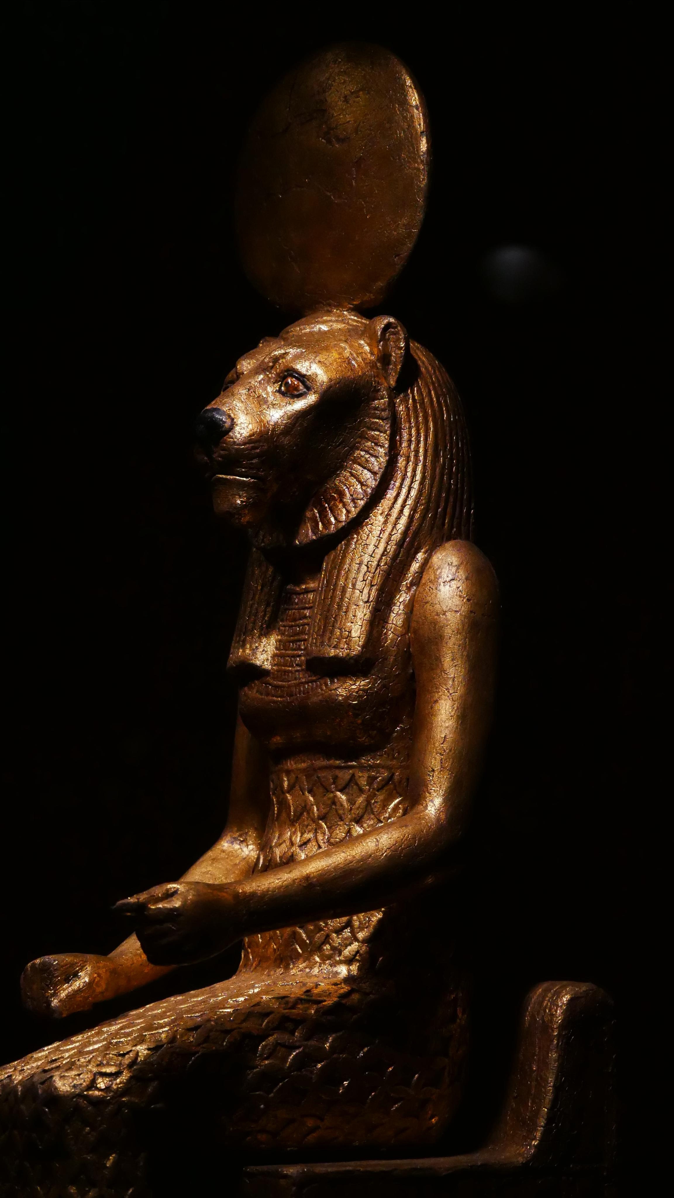 Egyptian exhibition. Ваш любимый фотограф