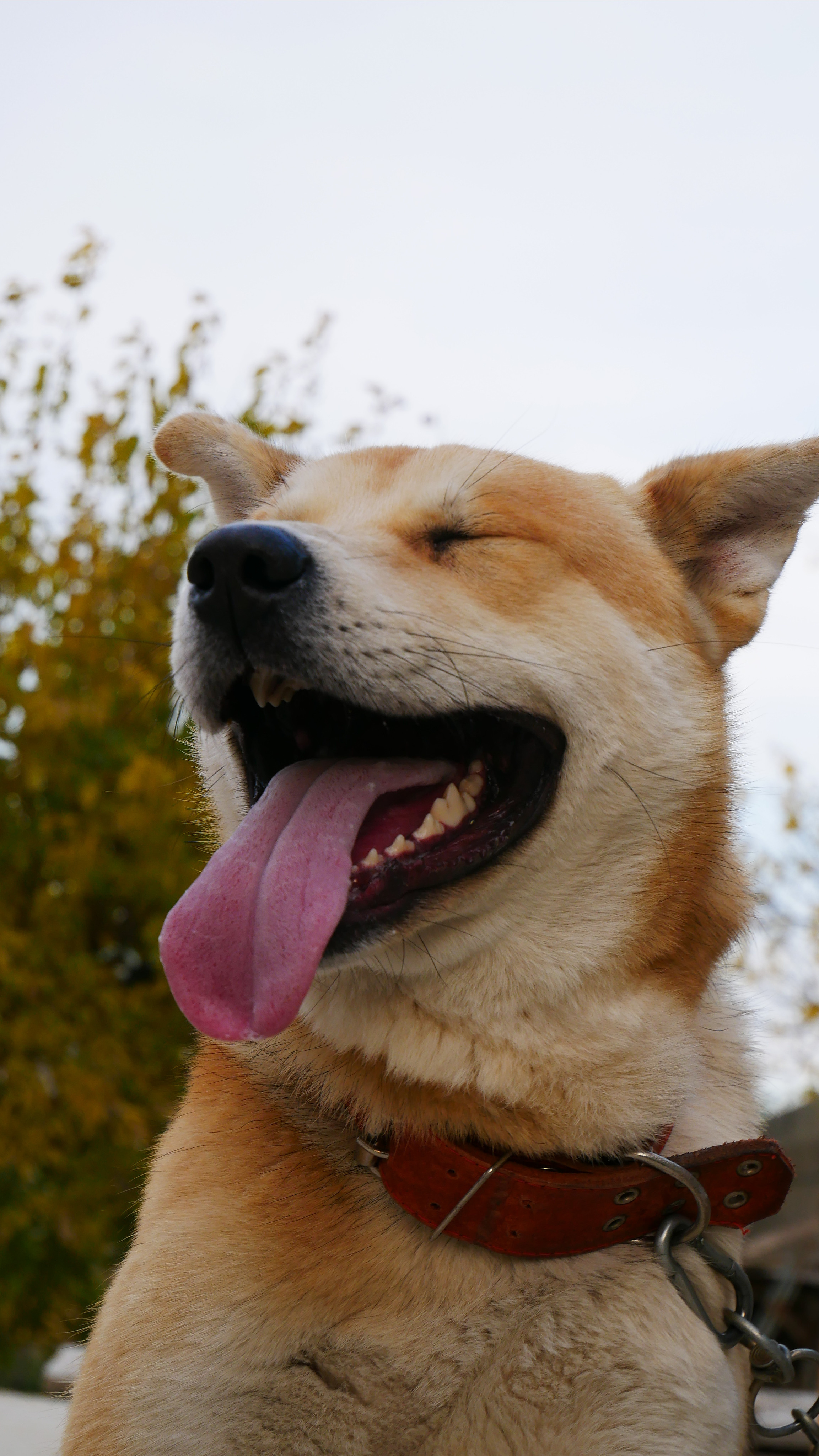 Animals. Ваш любимый фотограф