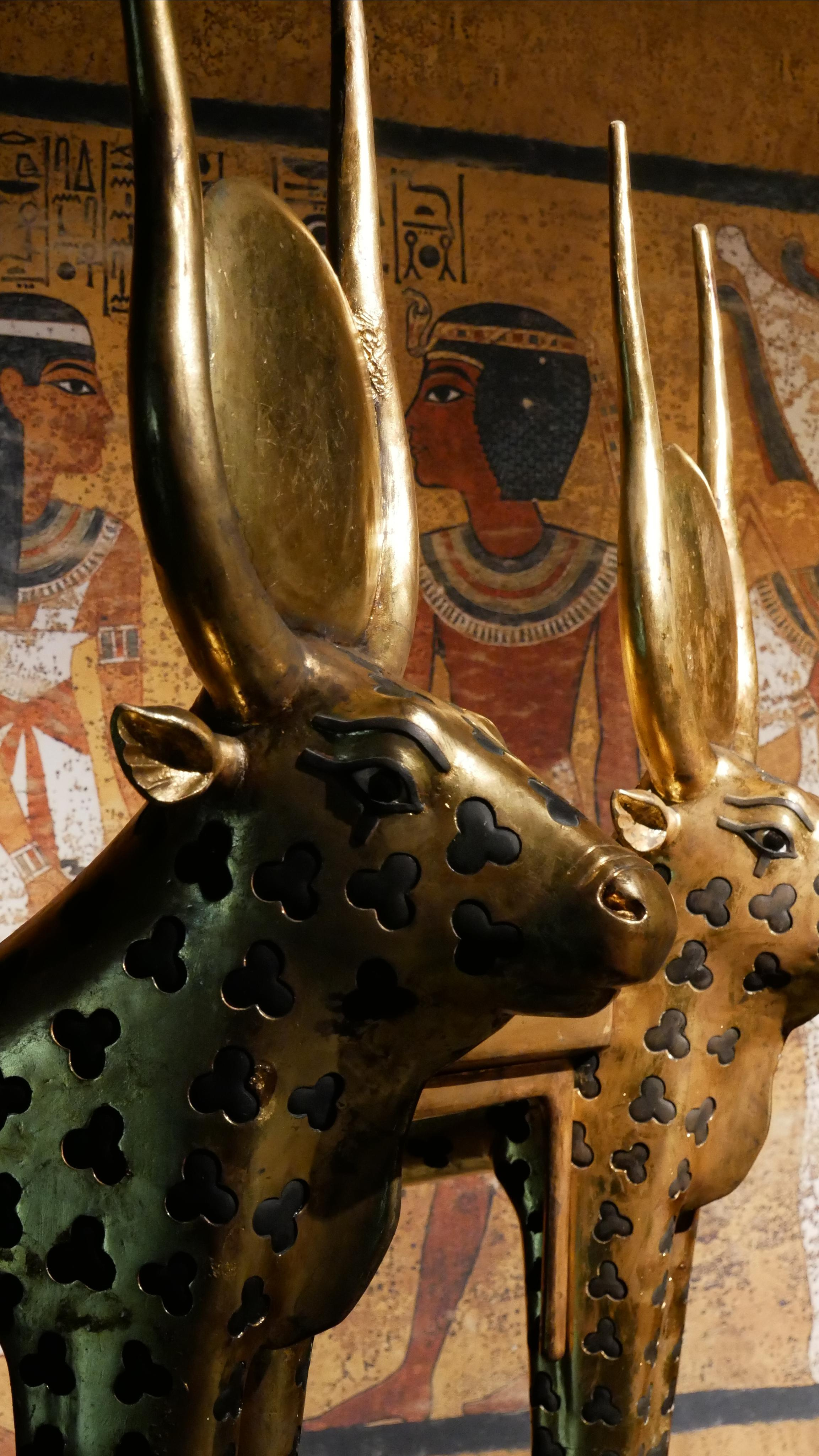 Egyptian exhibition. Ваш любимый фотограф