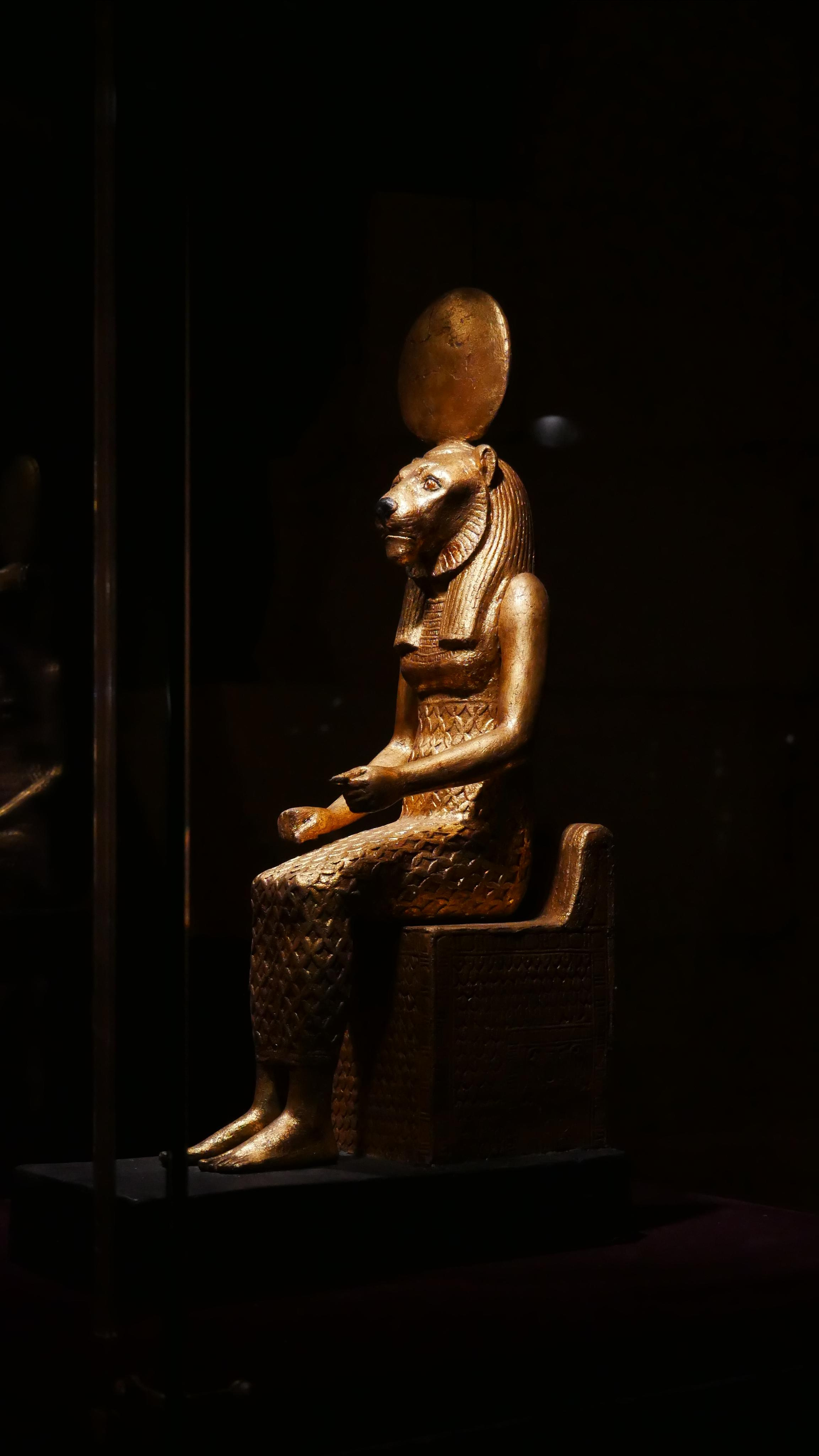 Egyptian exhibition. Ваш любимый фотограф