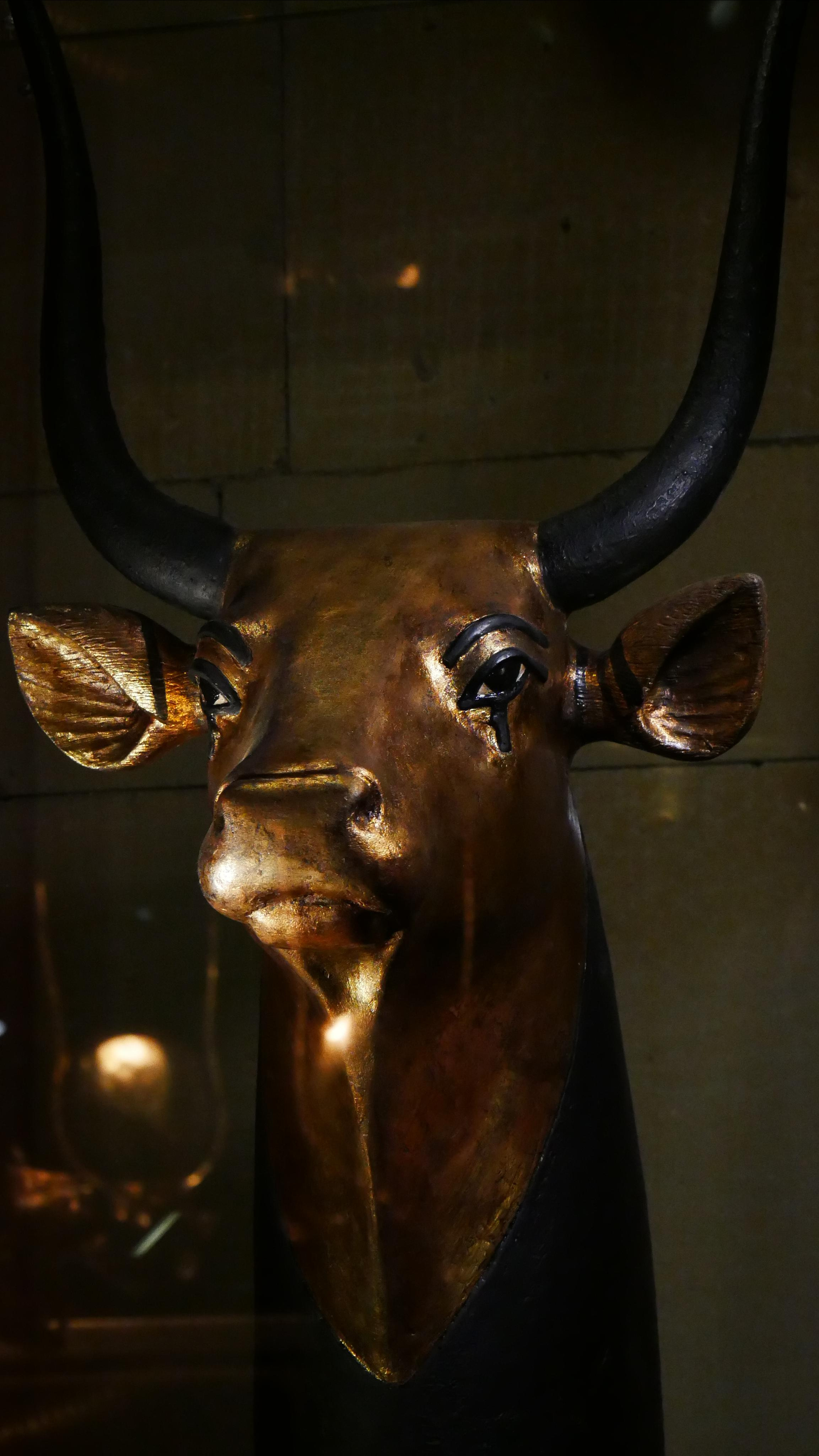 Egyptian exhibition. Ваш любимый фотограф