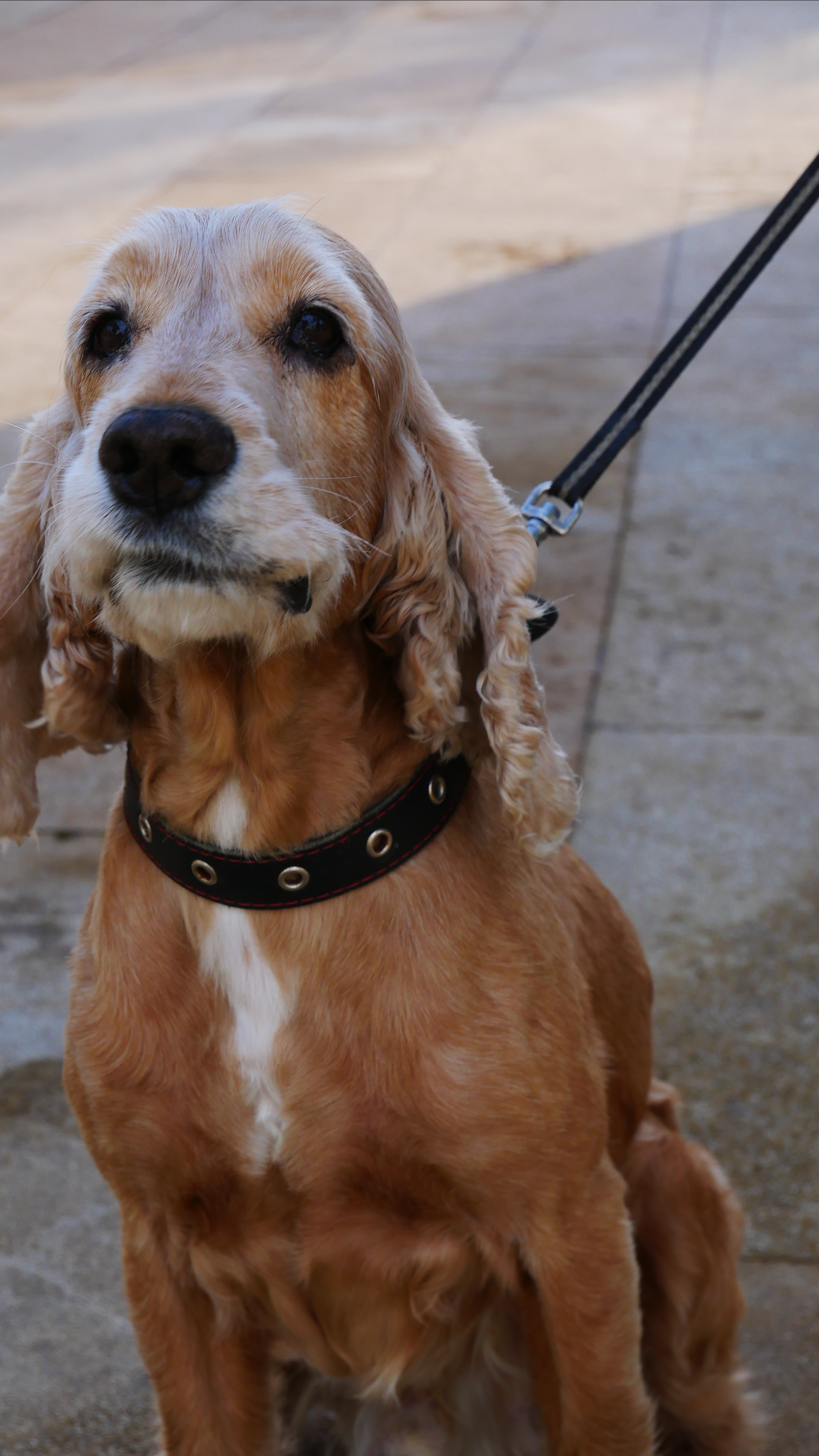 Animals. Ваш любимый фотограф