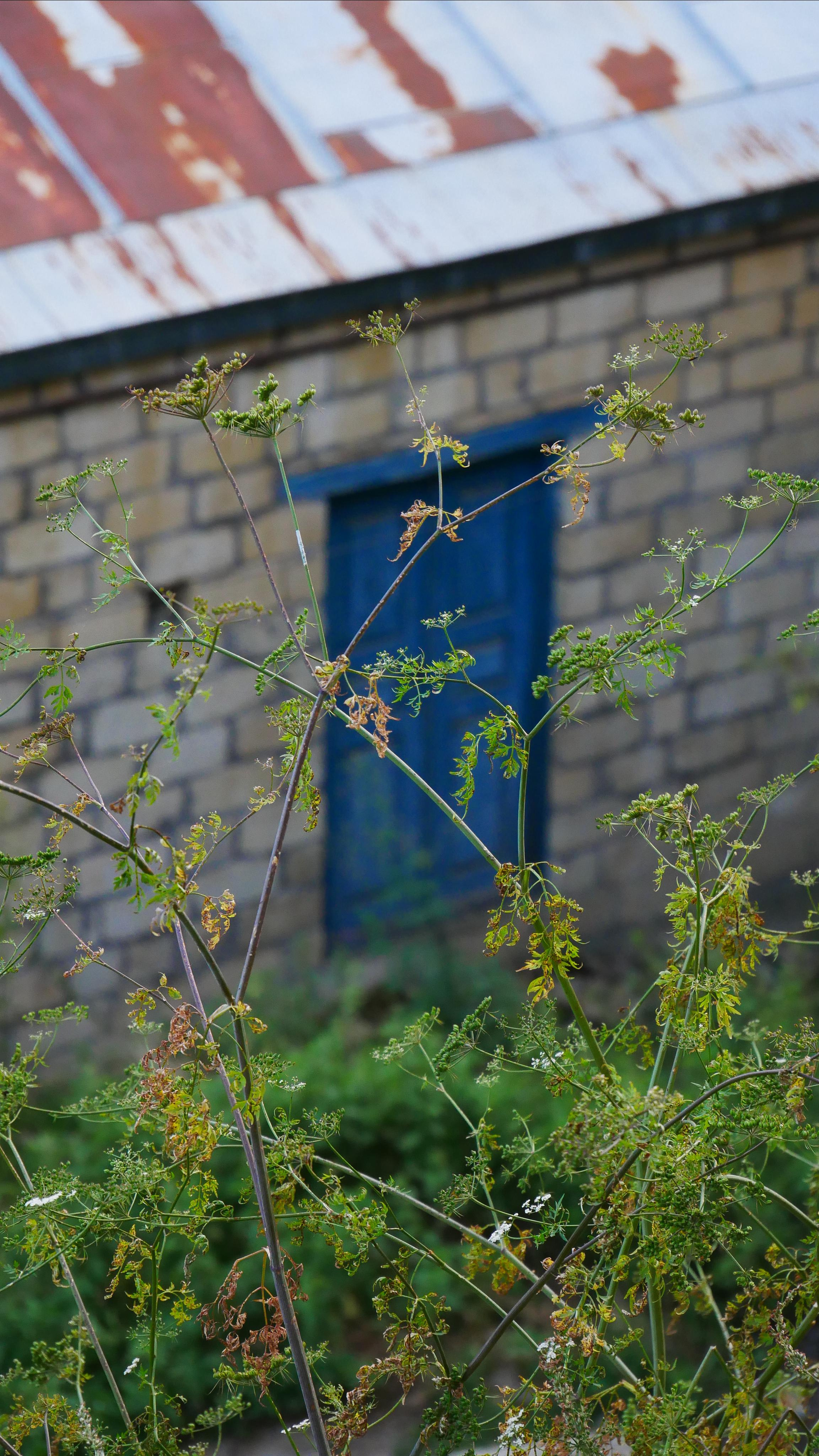 Kubachi. Ваш любимый фотограф