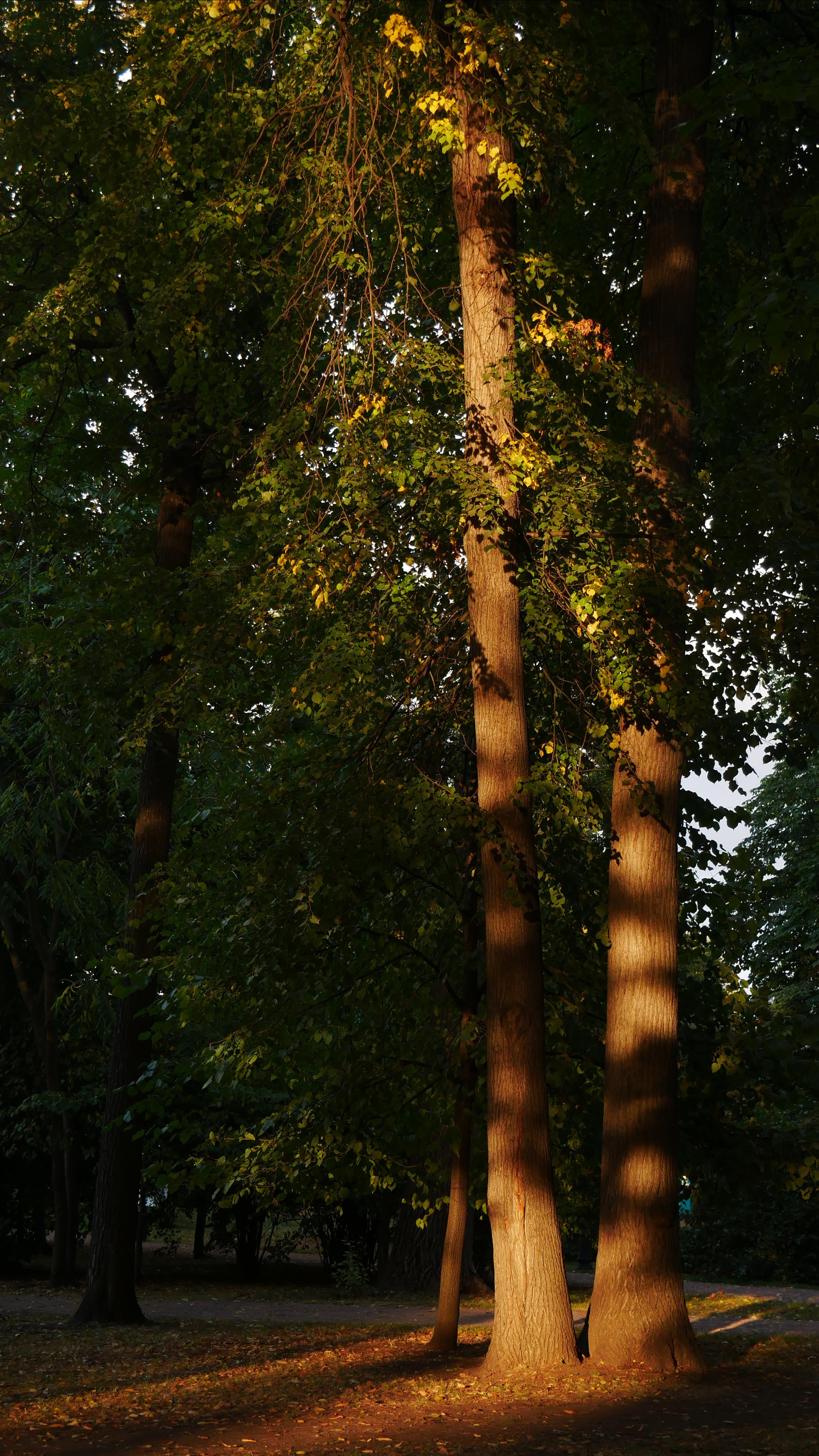 Moscow. Ваш любимый фотограф