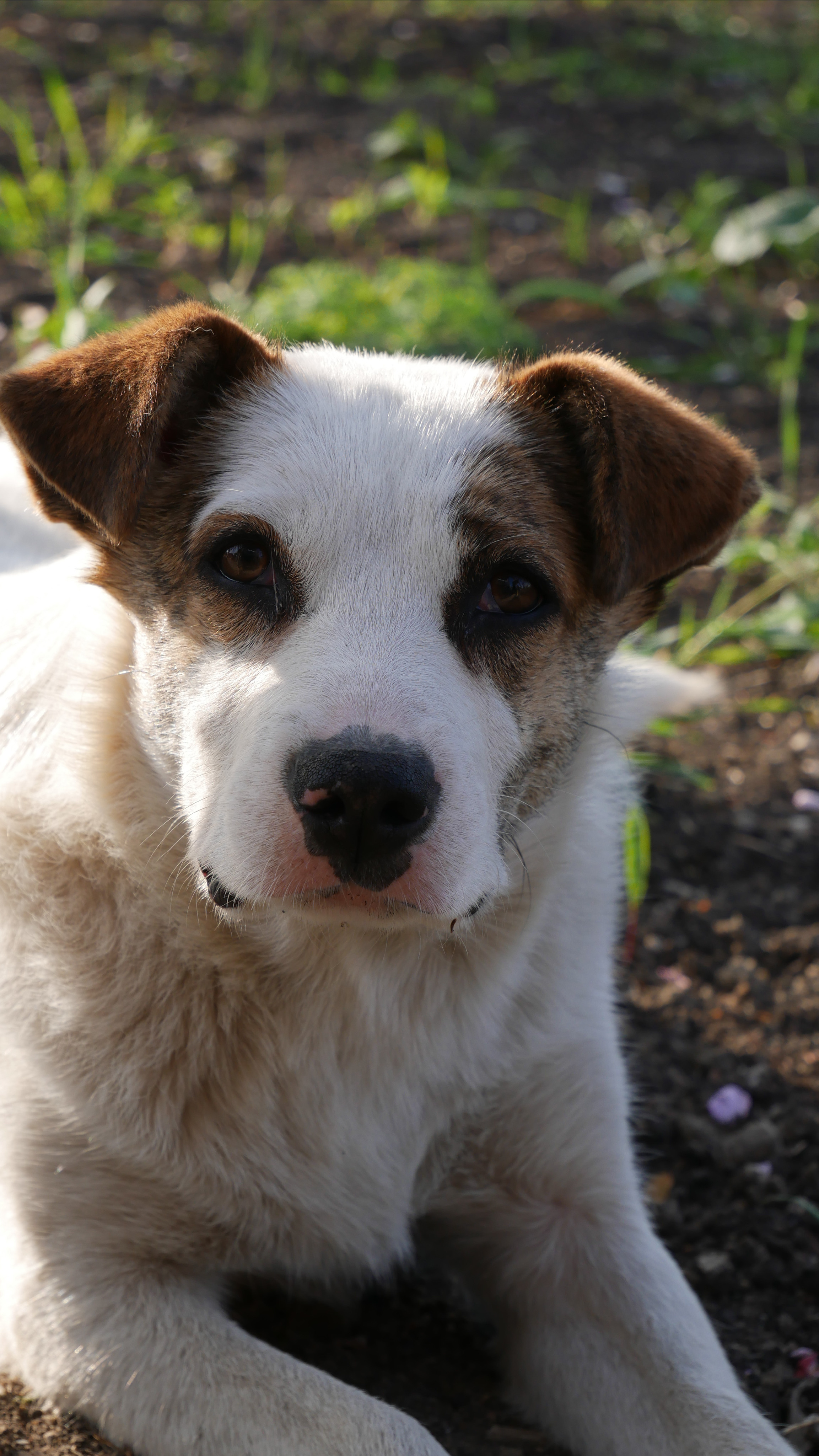 Animals. Ваш любимый фотограф