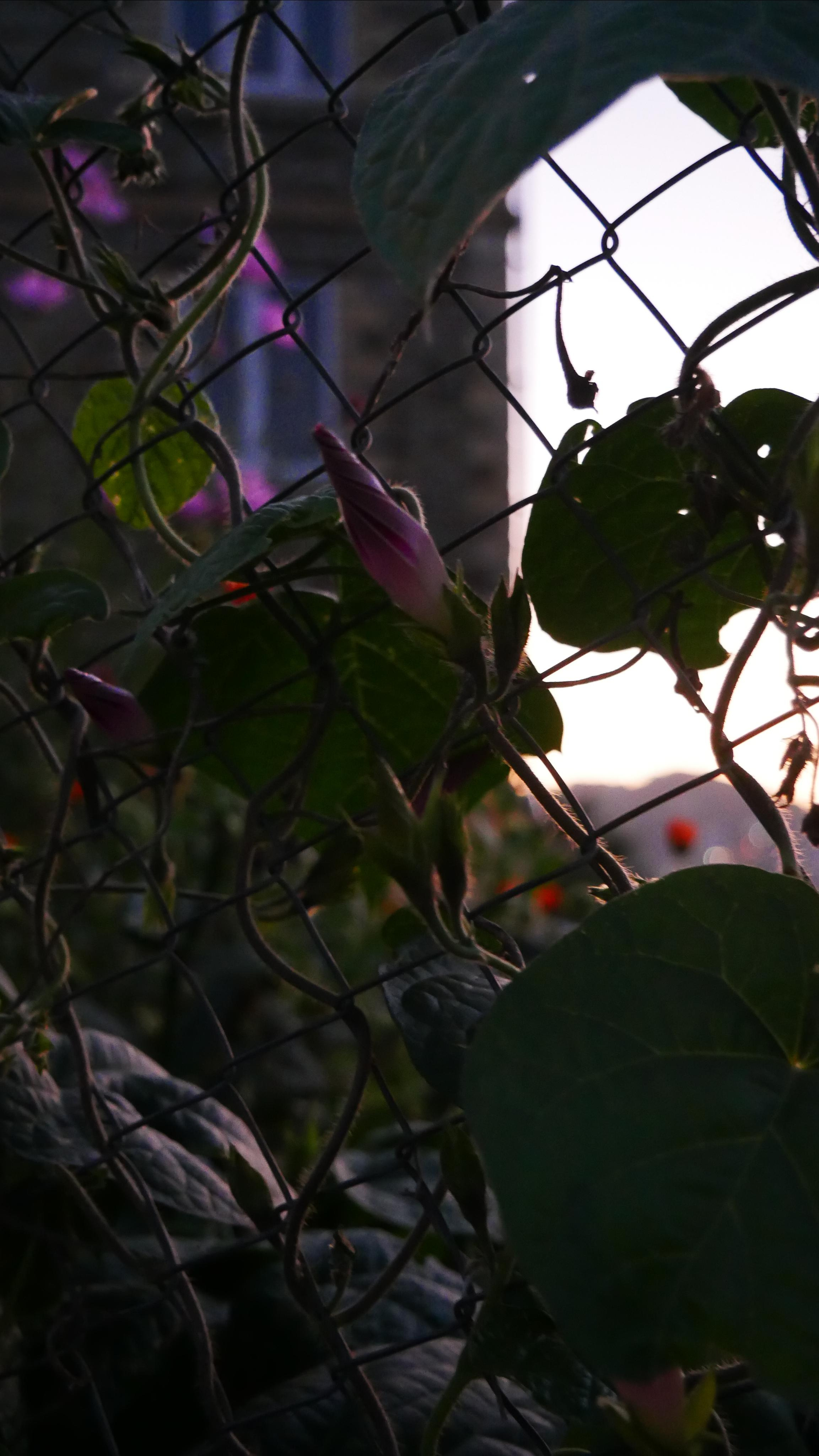 Kubachi. Ваш любимый фотограф