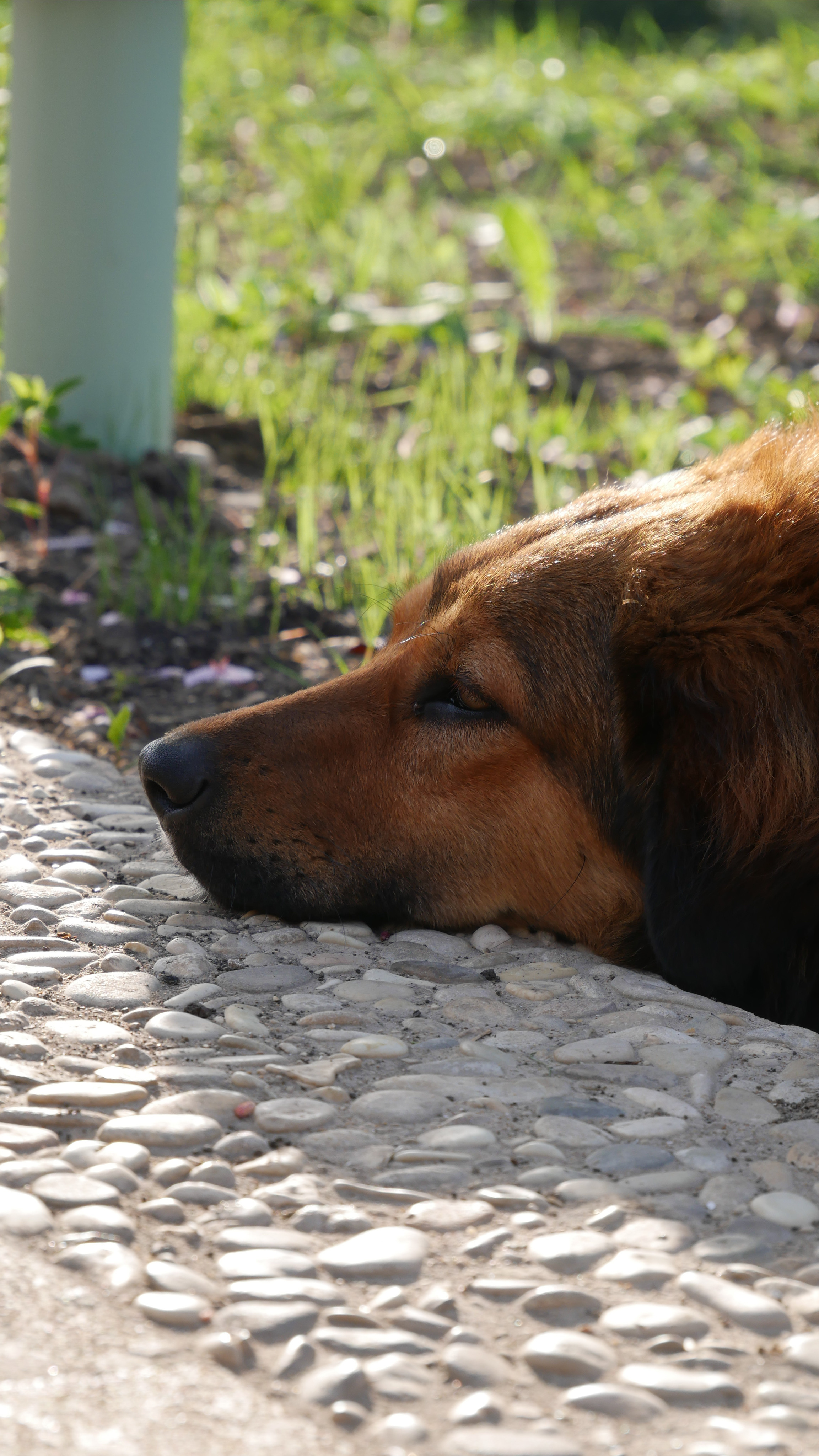 Animals. Ваш любимый фотограф