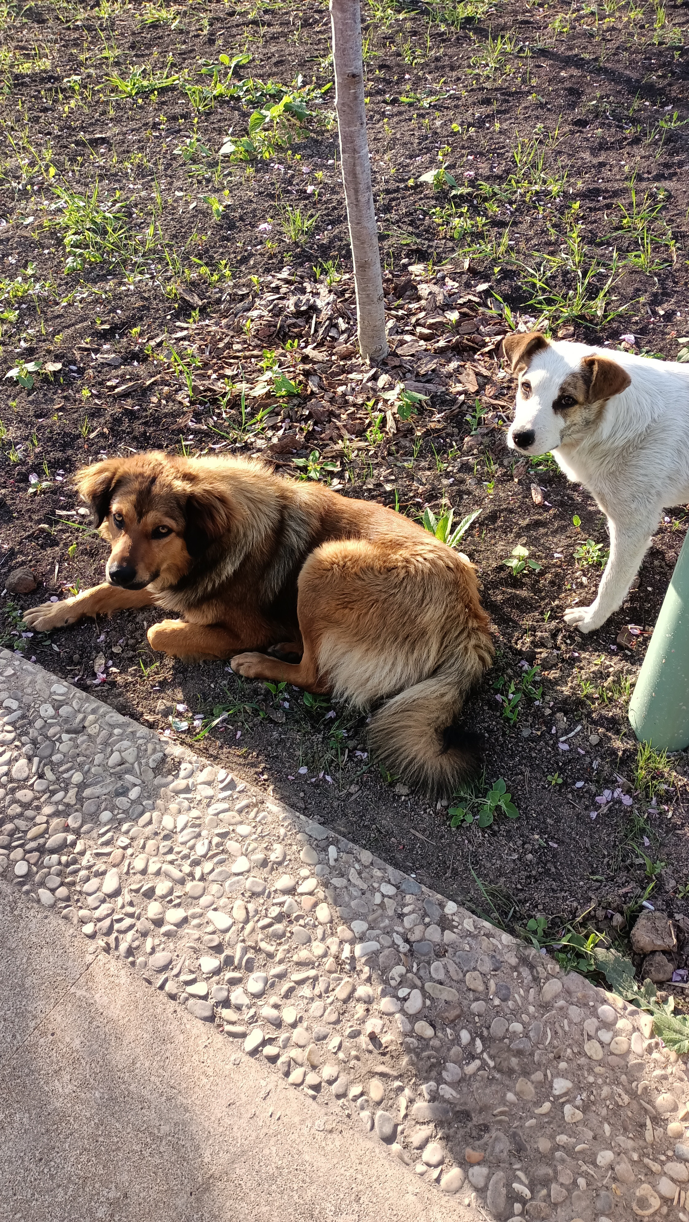 Animals. Ваш любимый фотограф