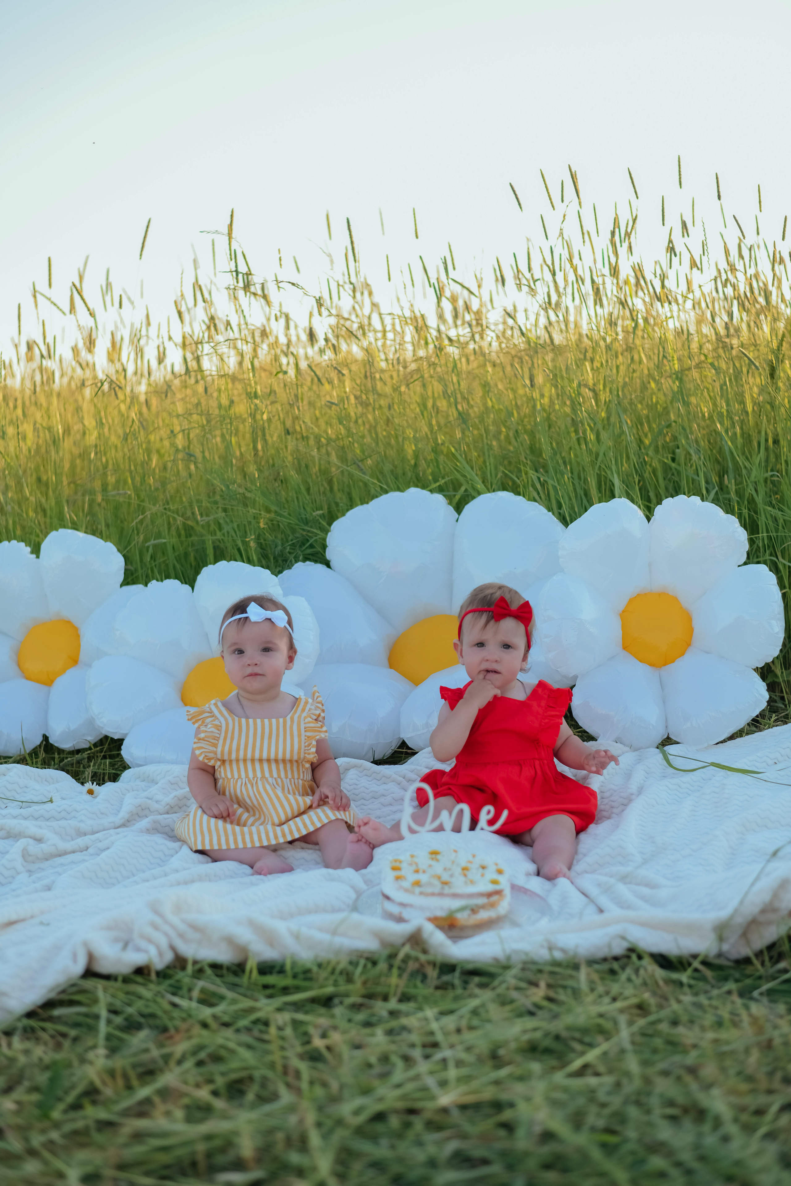 Семейная поле. Фотограф Подольск
