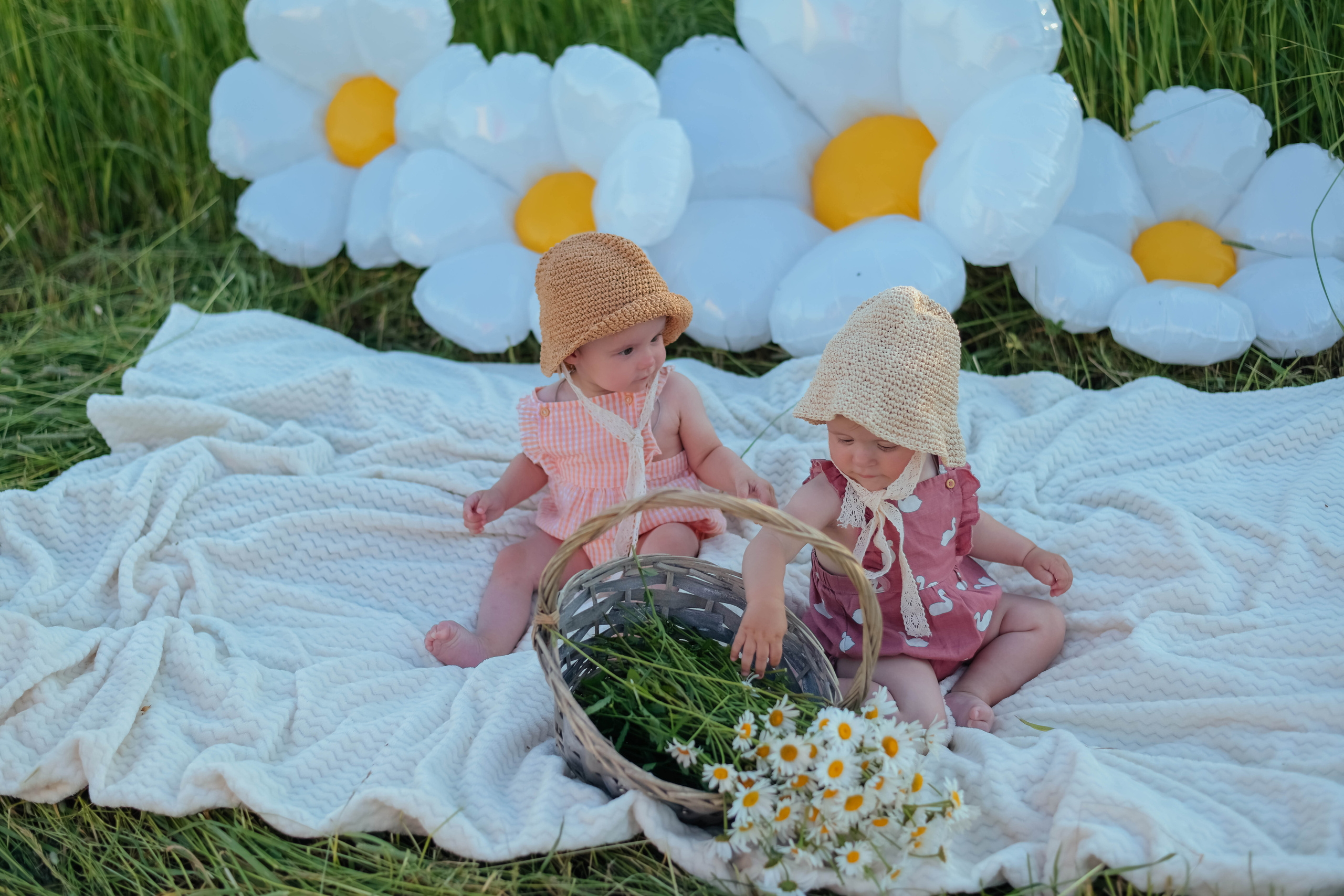 Семейная поле. Фотограф Подольск