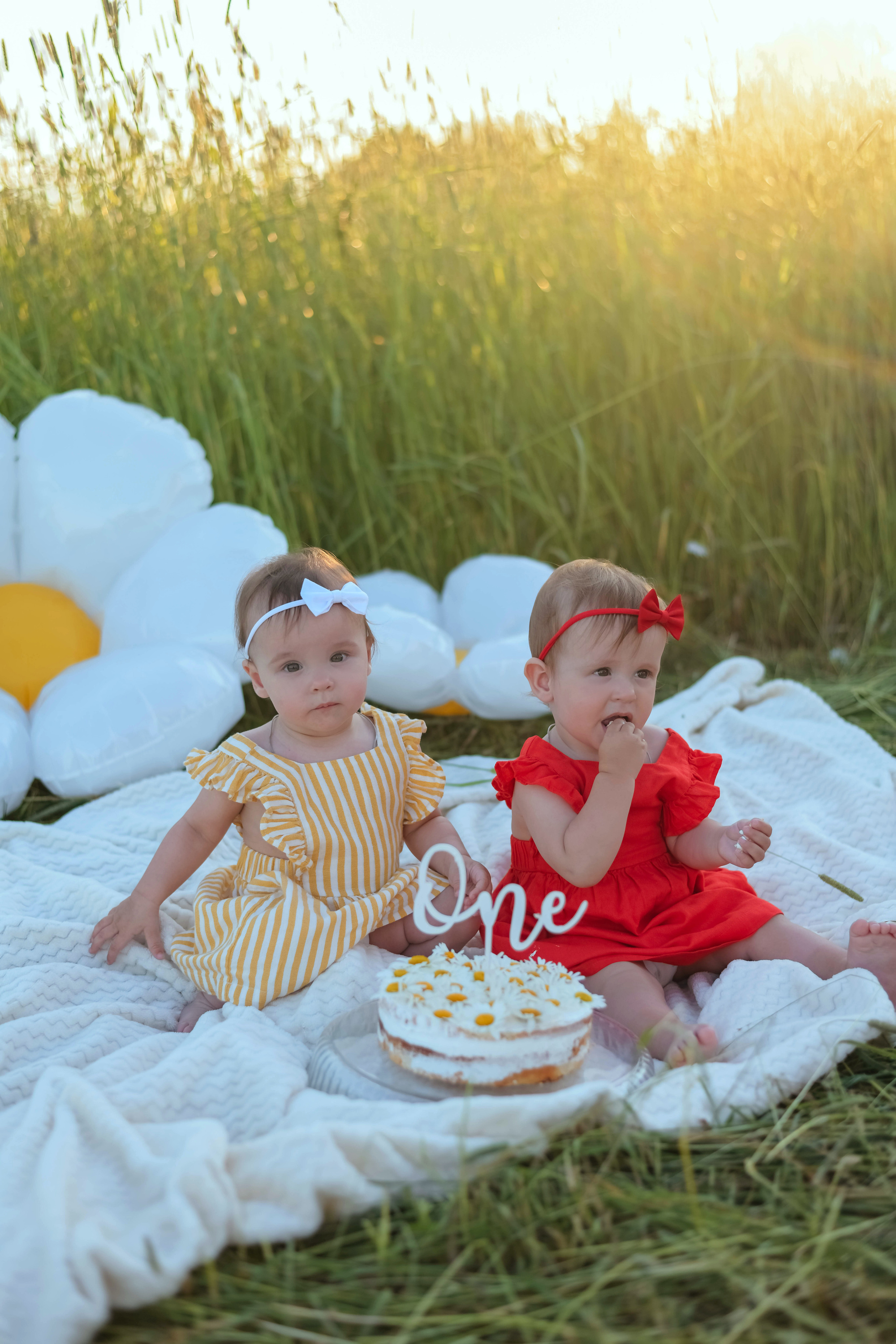 Семейная поле. Фотограф Подольск