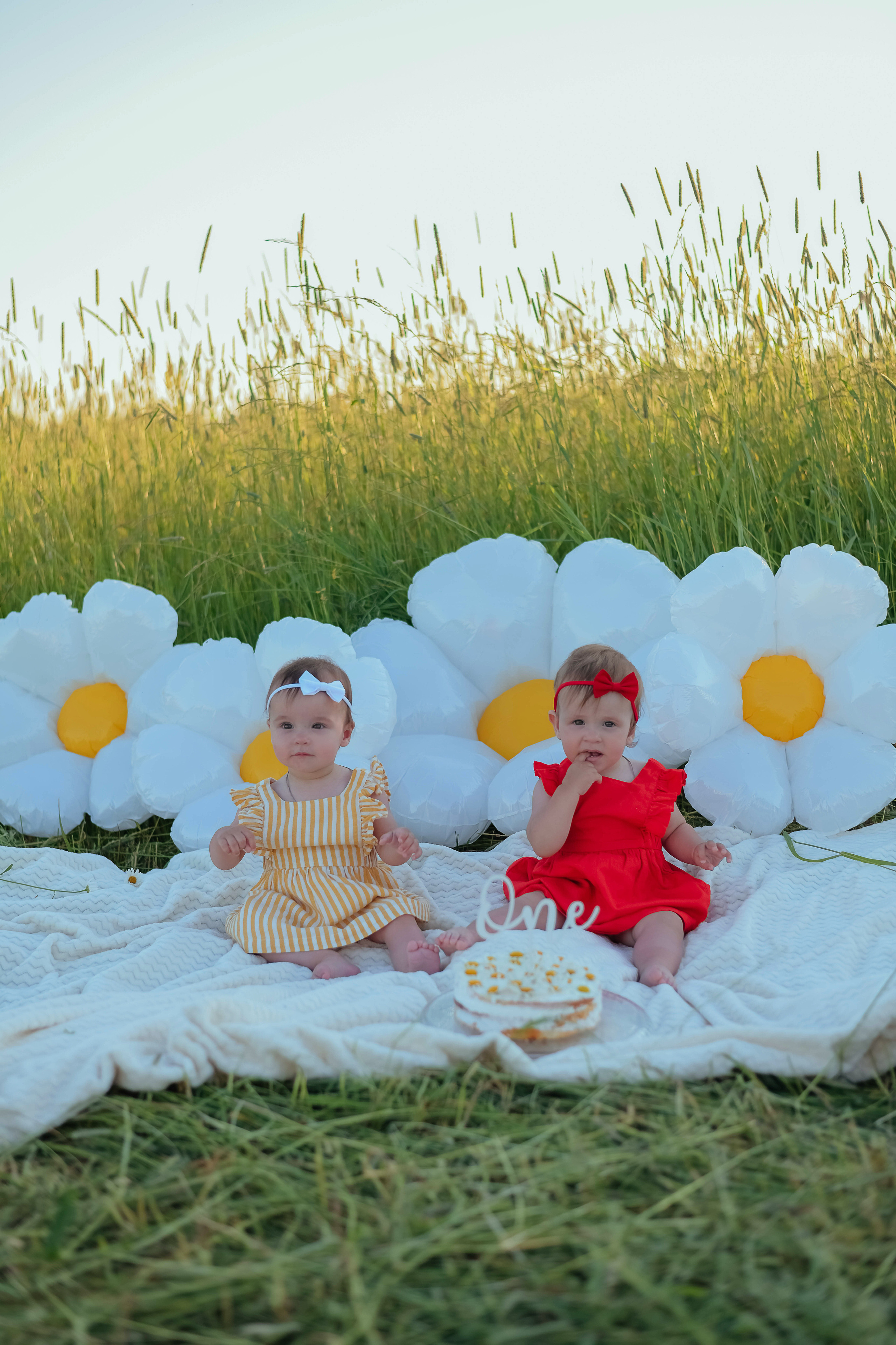 Семейная поле. Фотограф Подольск