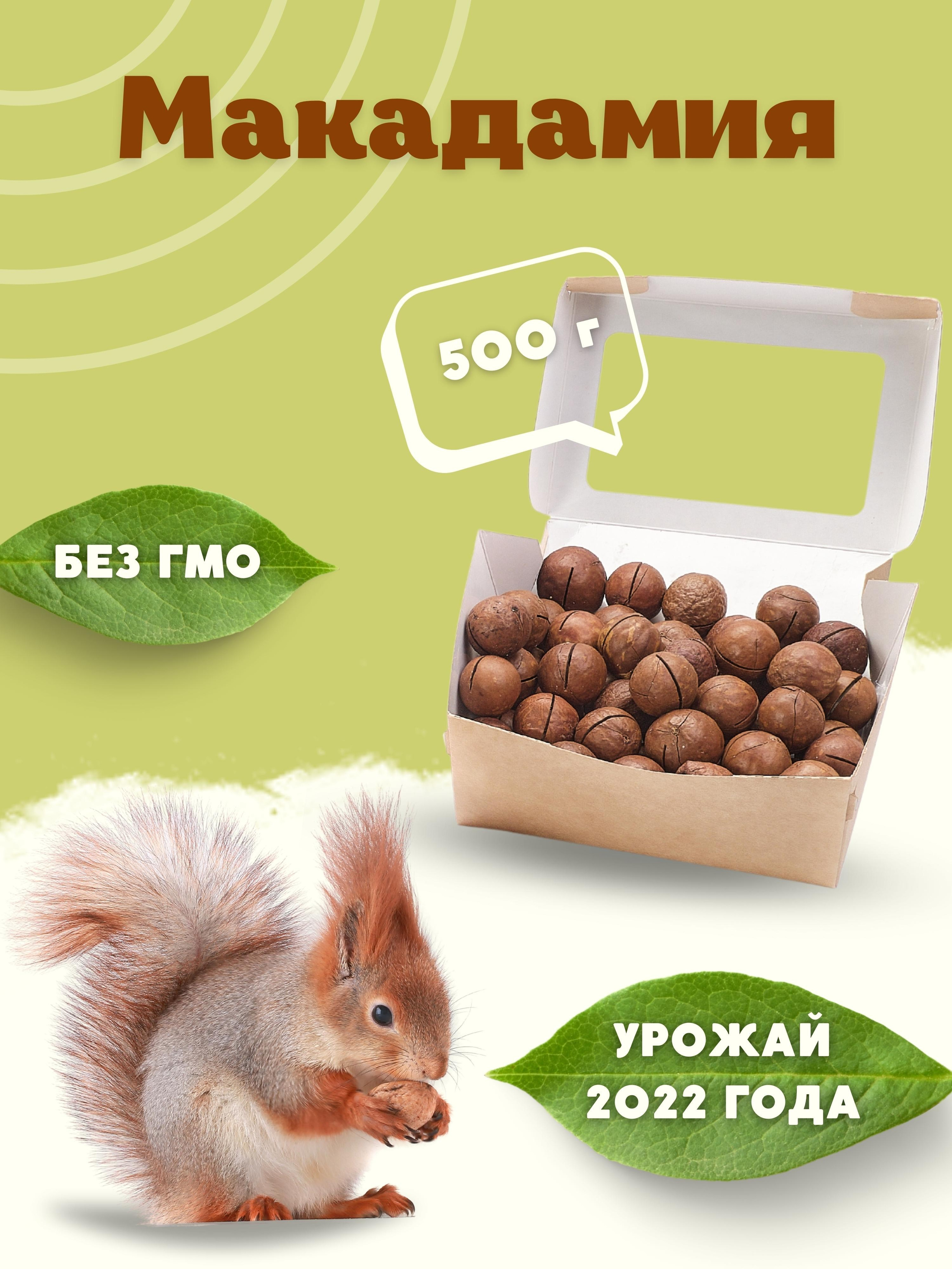 Инфографика для маркетплейсов: орехи макадамия. Маркетолог в Москве, специалист по коммуникациям и рекламе Аня Смоляга