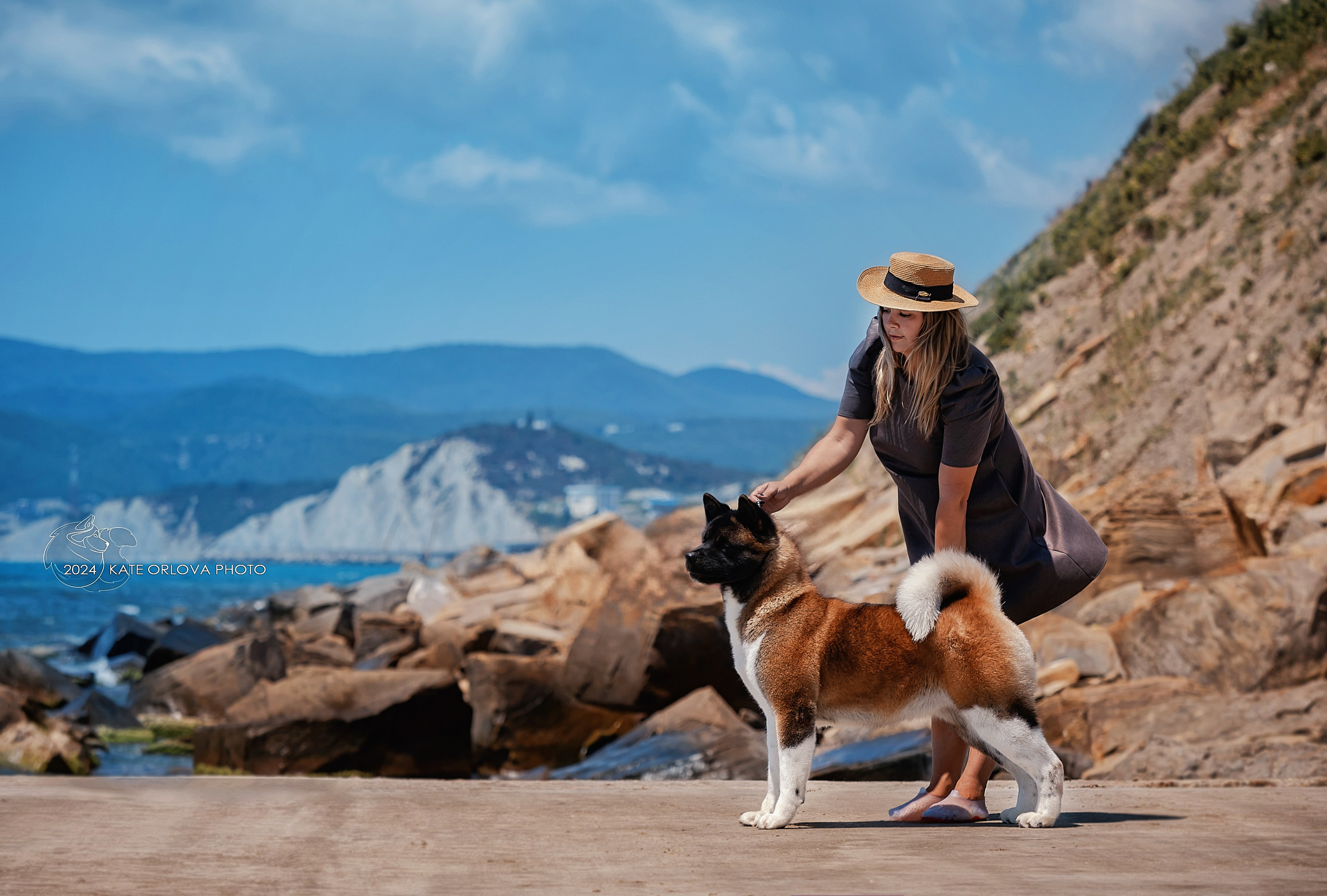 Фотосъемка собак, щенков, на выставках, фотограф анималист Россия воронеж. Питомник собак Акита, Хаски, Корги