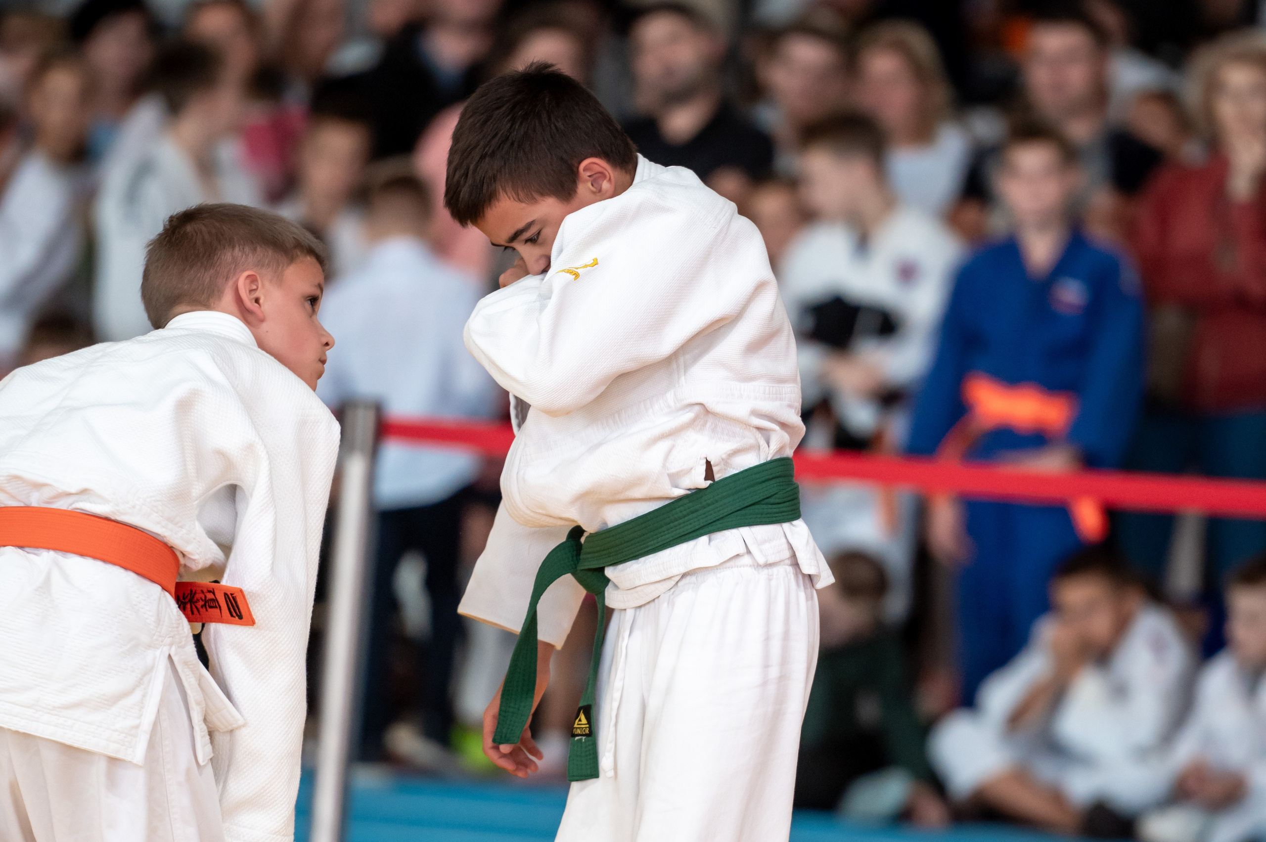 Турнир по дзюдо «Тульский левша», сентябрь 2024. Спортивный фотограф в Туле и Тульской области. Файсханова Фото Спорт