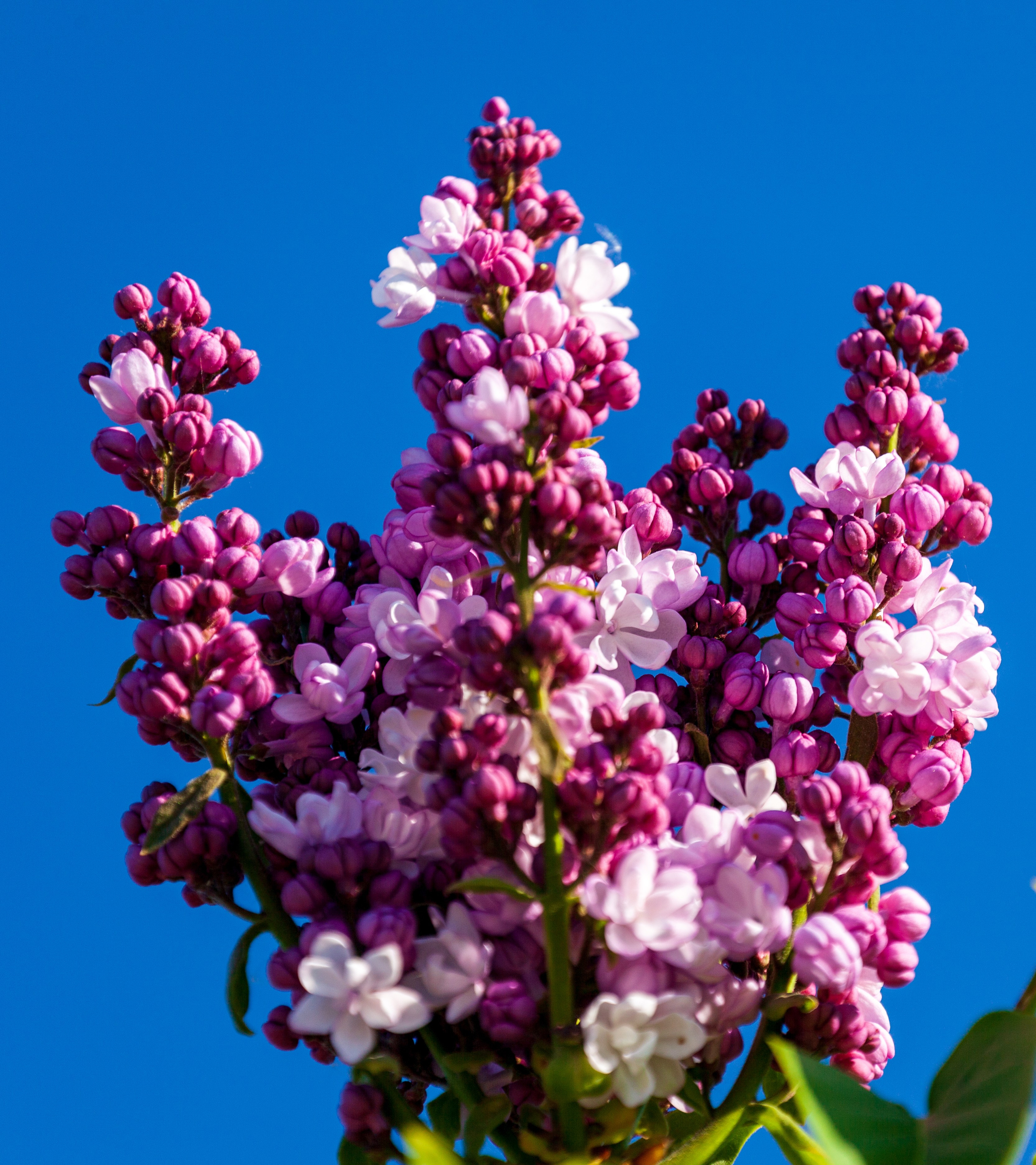 Тропинки детства. Фотохудожник Артём Парамонов
