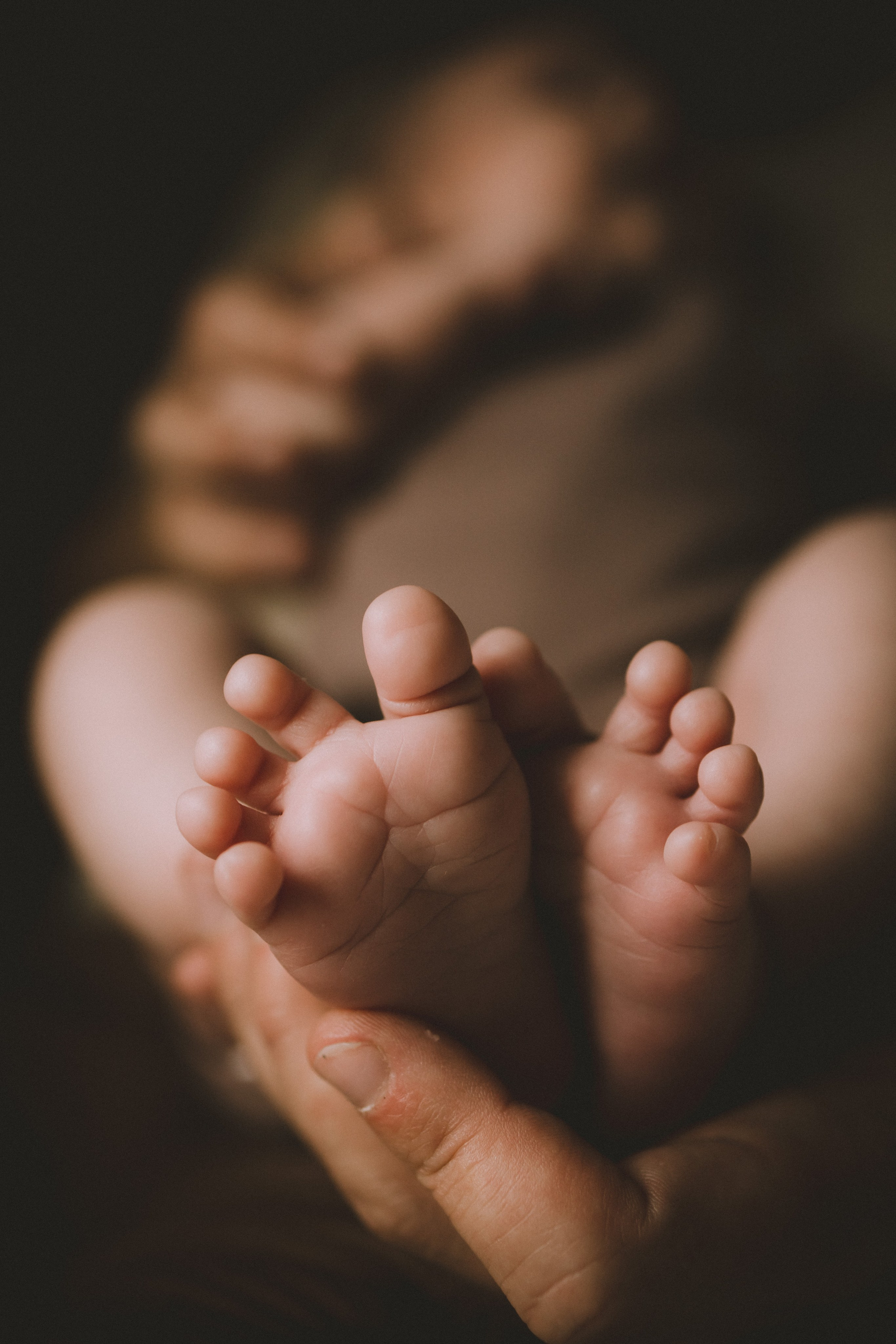 Семейная. Семейный и детский фотограф в Санкт-Петербурге Павлова Елена