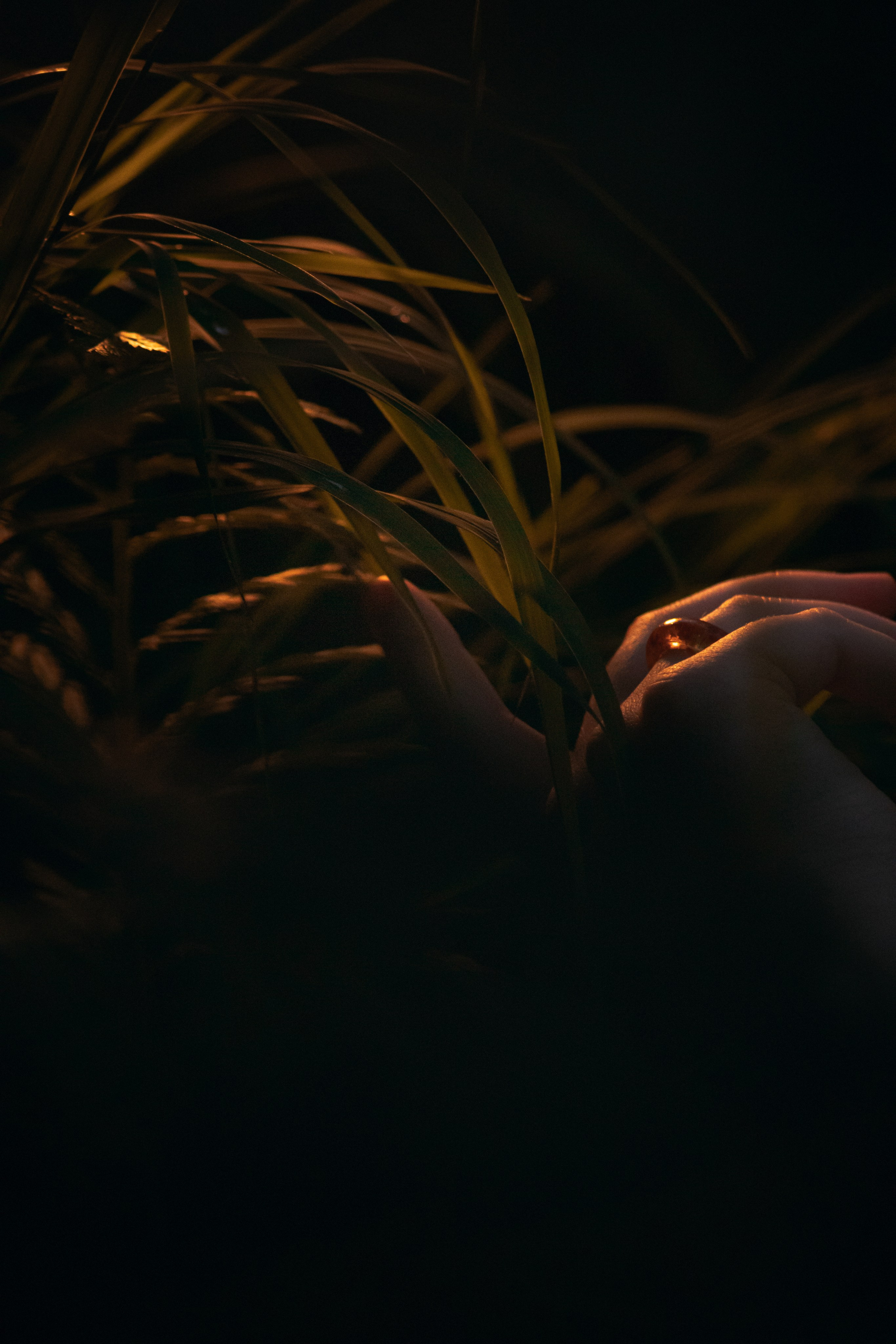 Аделина. Фотограф и видеограф в Бугульме Аня Трутнева