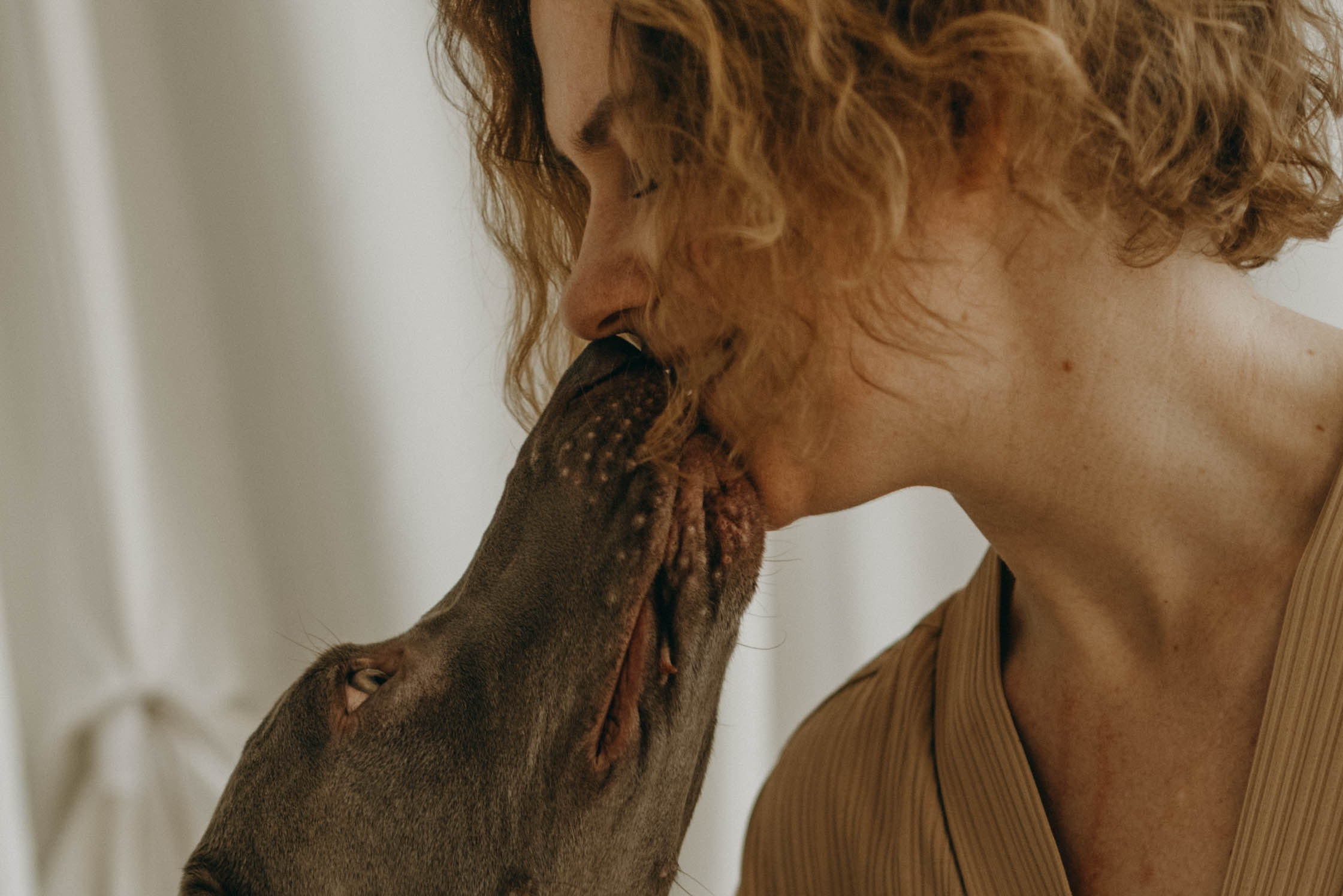 Фотосессия в студии с собакой. Фотограф-анималист в Екатеринбурге | Кристина