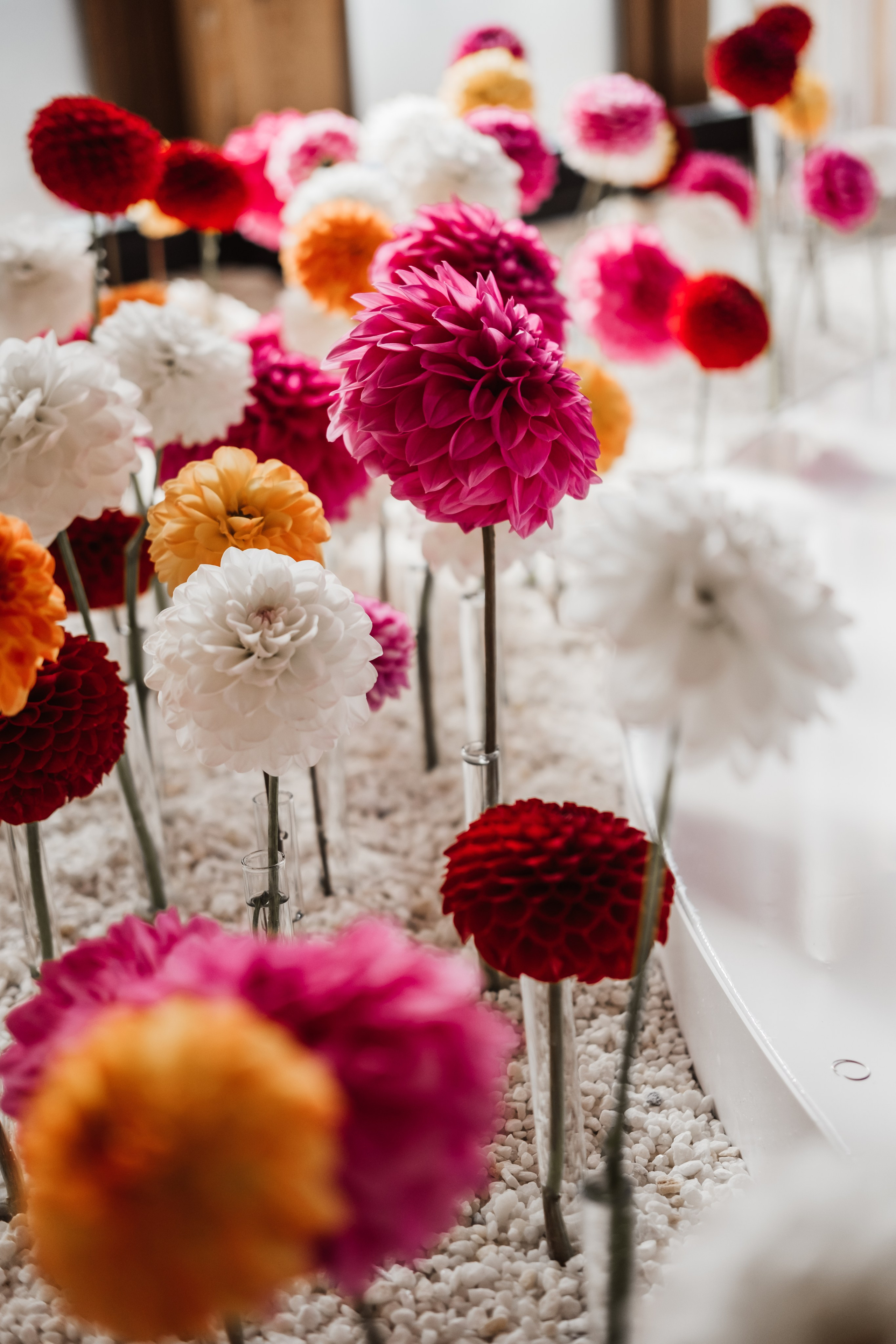 Алина и Коля. Свадебный и семейный фотограф в Ульяновске Анастасия Мышенкова