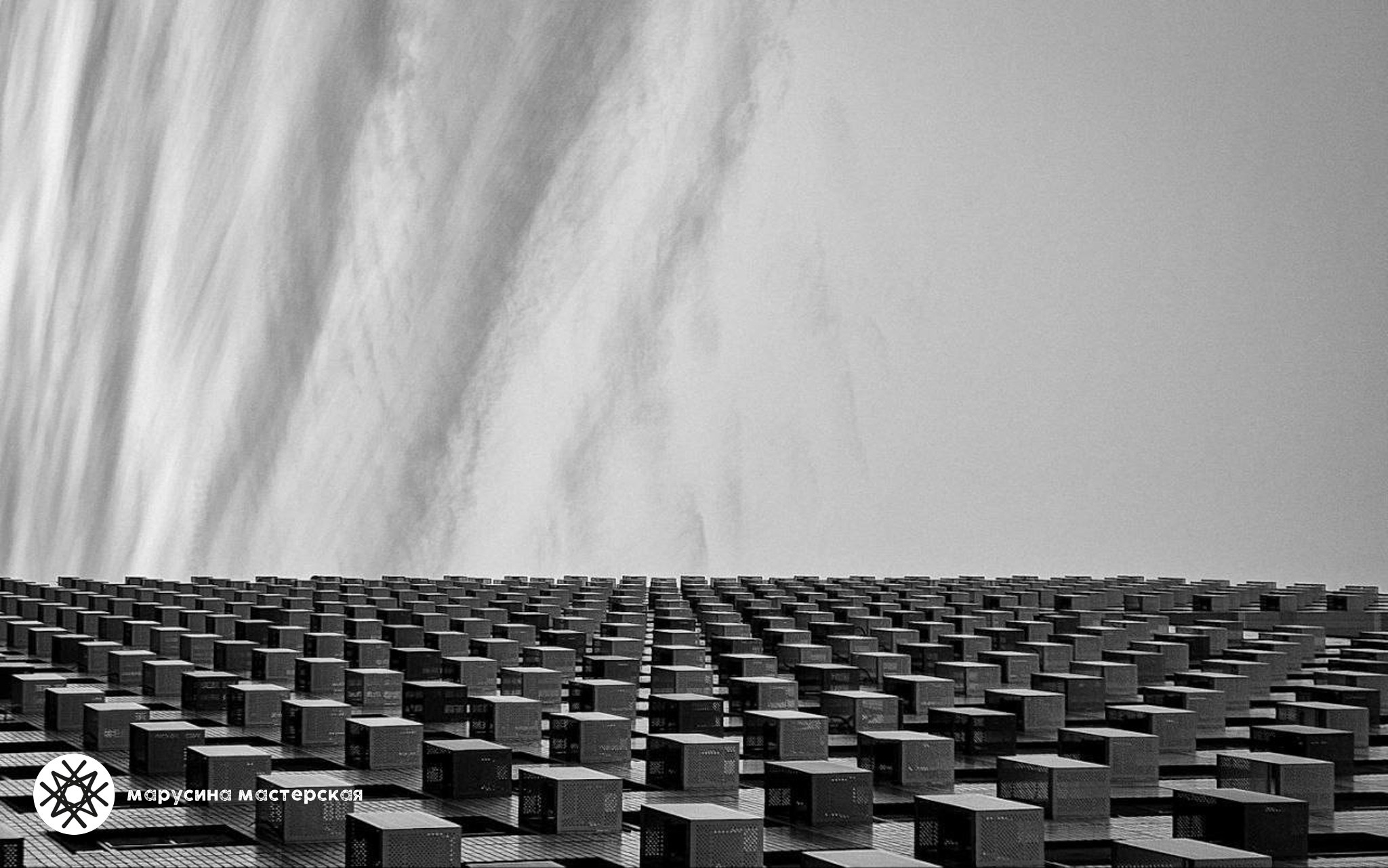 Ирина Липкина