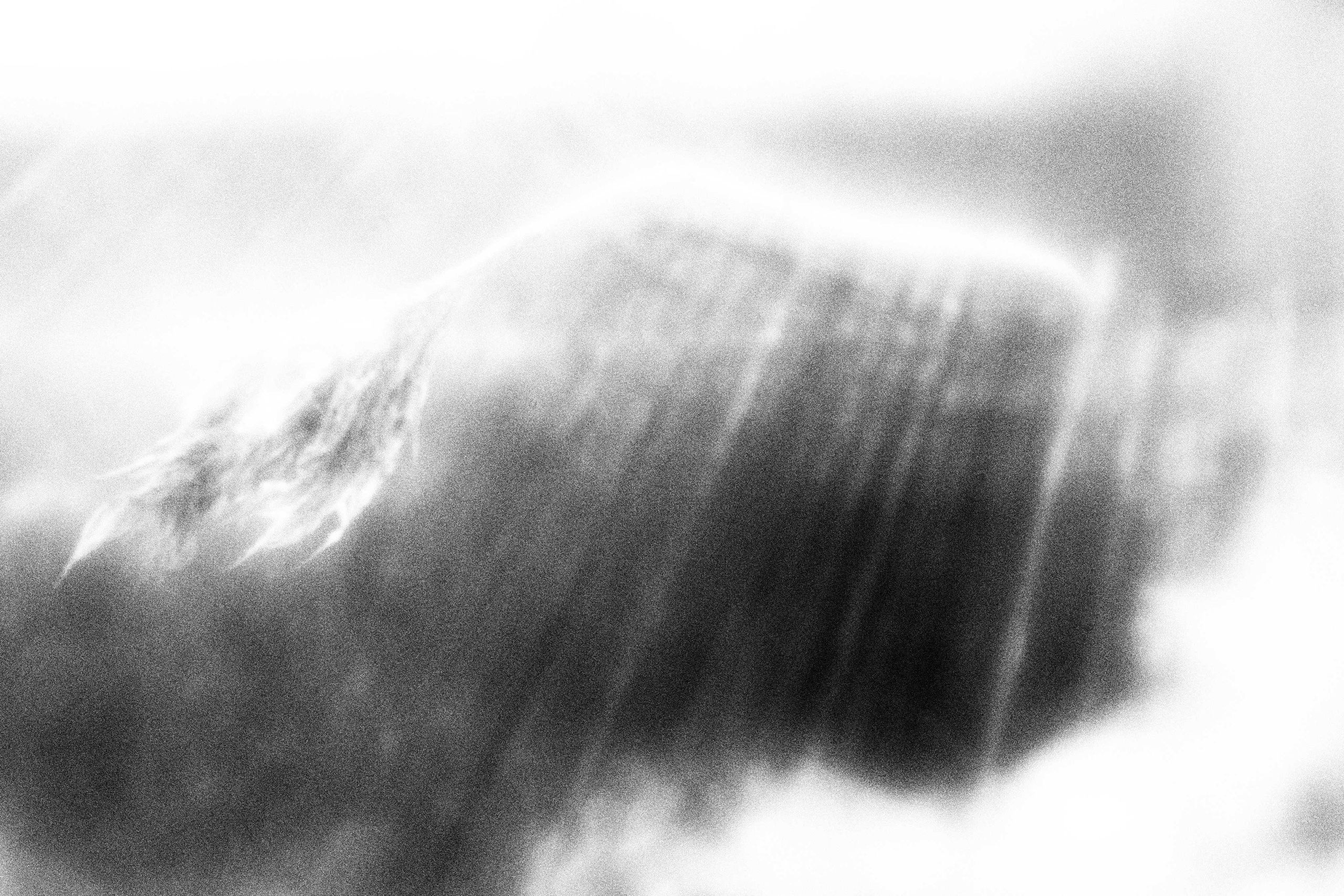 «Видеть. Чувствовать. Сохранять»