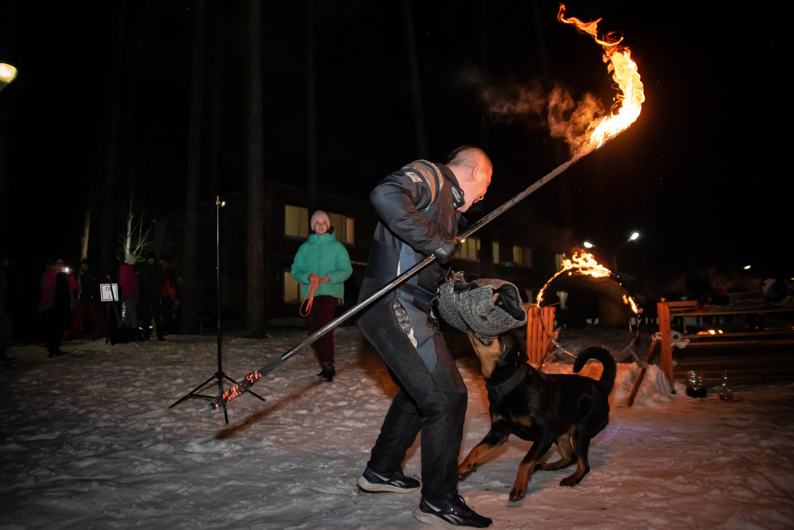 Фотосъёмка с собаками в Кинологическом лагере. Фотограф Макс Огурцов в Нижнем Новгороде