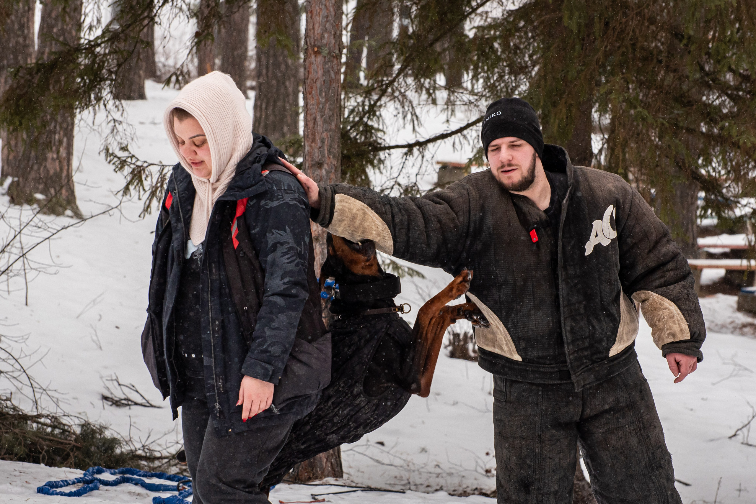 Фотосъёмка с собаками в Кинологическом лагере. Фотограф Макс Огурцов в Нижнем Новгороде