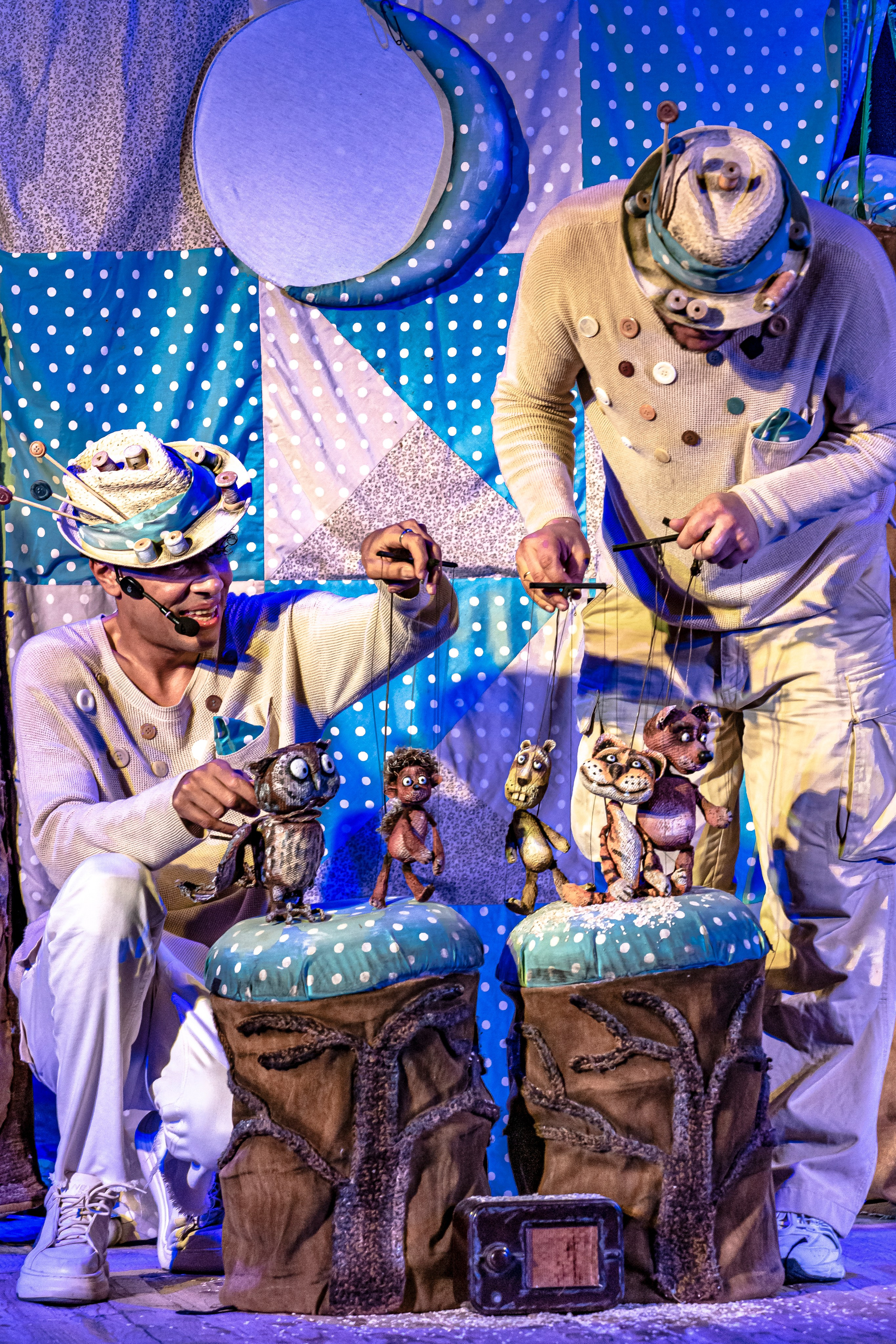 Колючая сказка. Фотограф в Сочи Юрий Шептаев