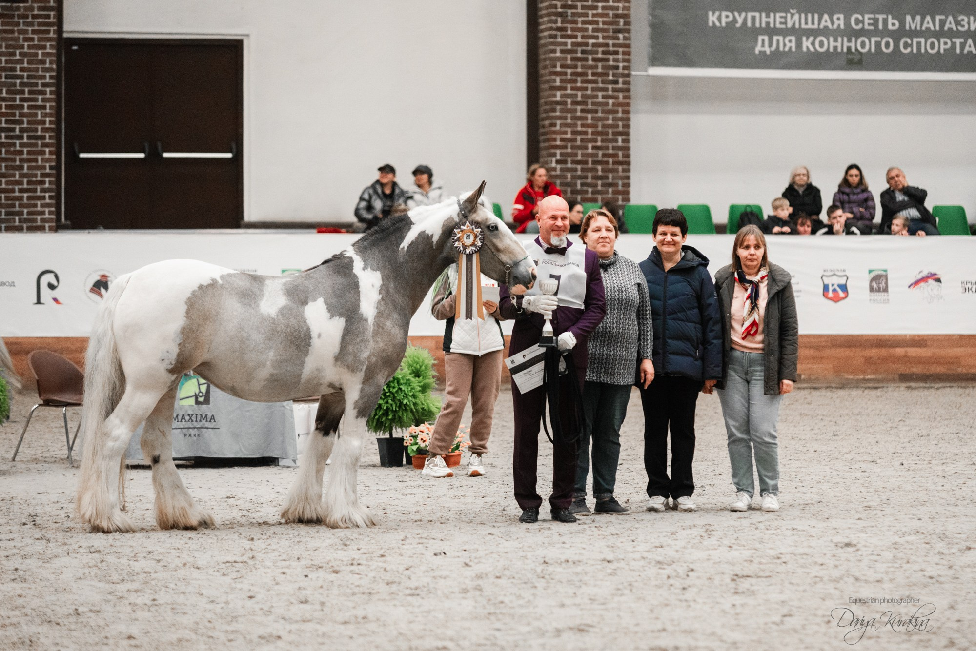 8-я международная выставка Конная Россия. Конный фотограф Куракина Дарья • Фотосессии с лошадьми