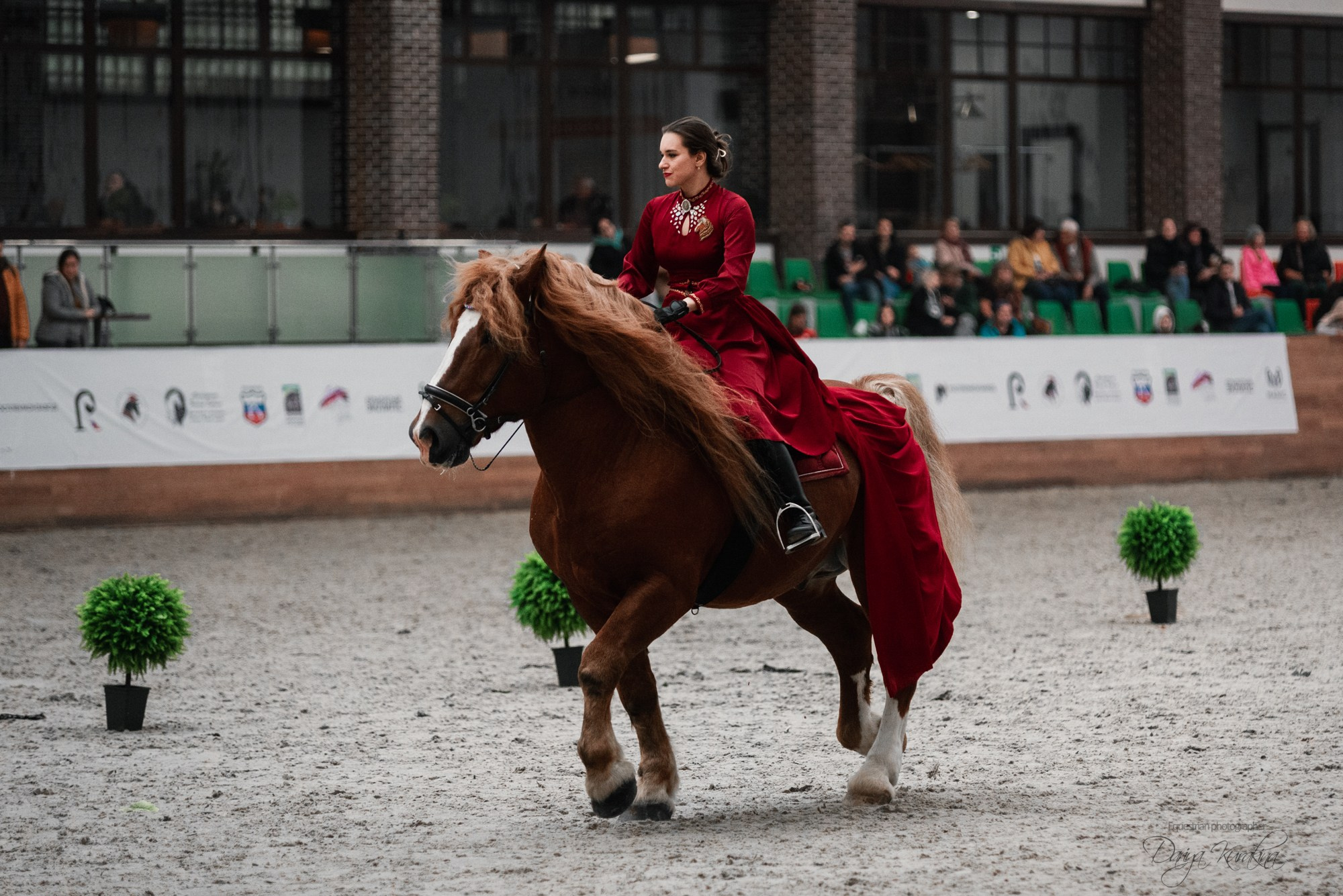 8-я международная выставка Конная Россия. Конный фотограф Куракина Дарья • Фотосессии с лошадьми