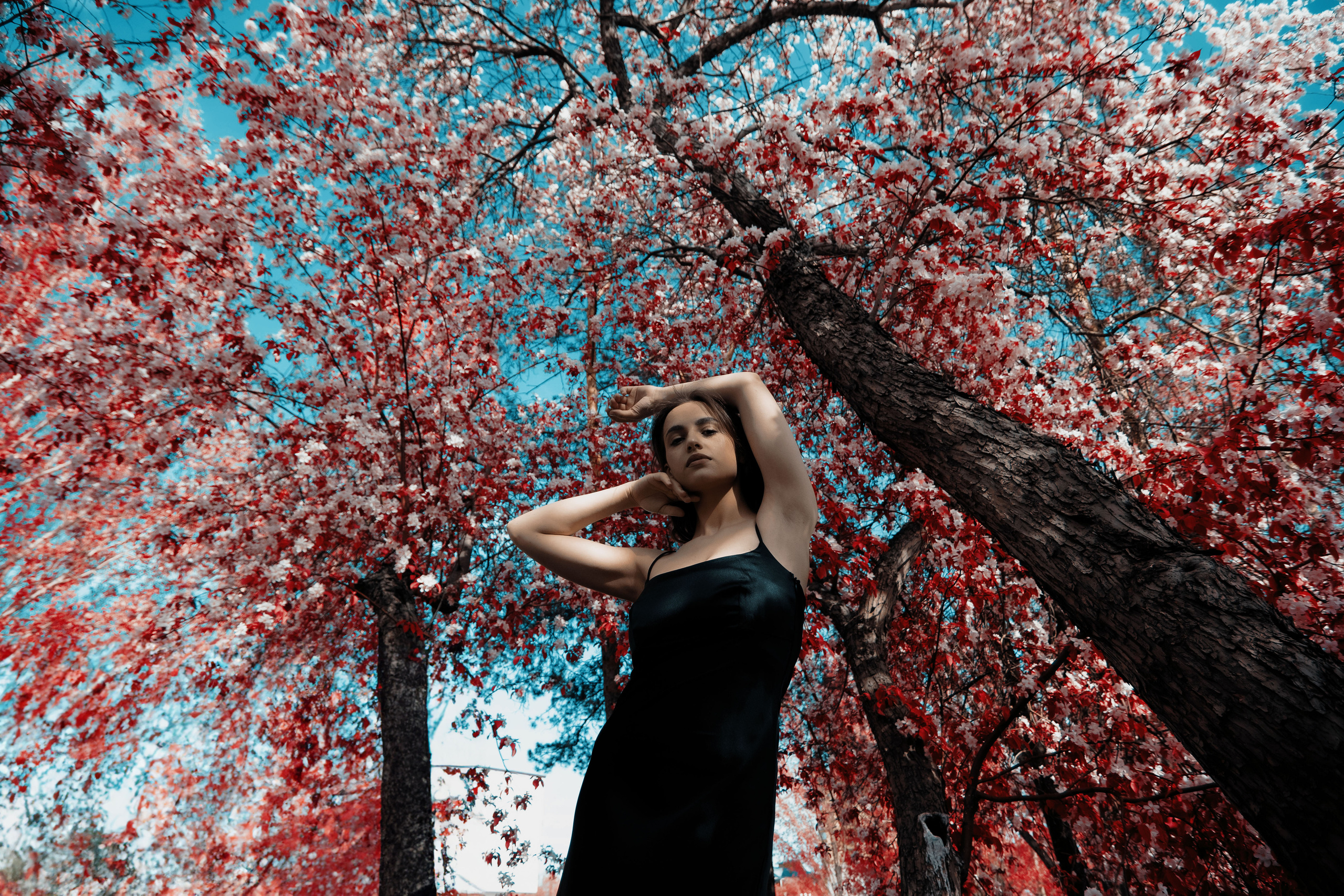 Sofia. Фотограф Барнаул — NAVI / НАВИ