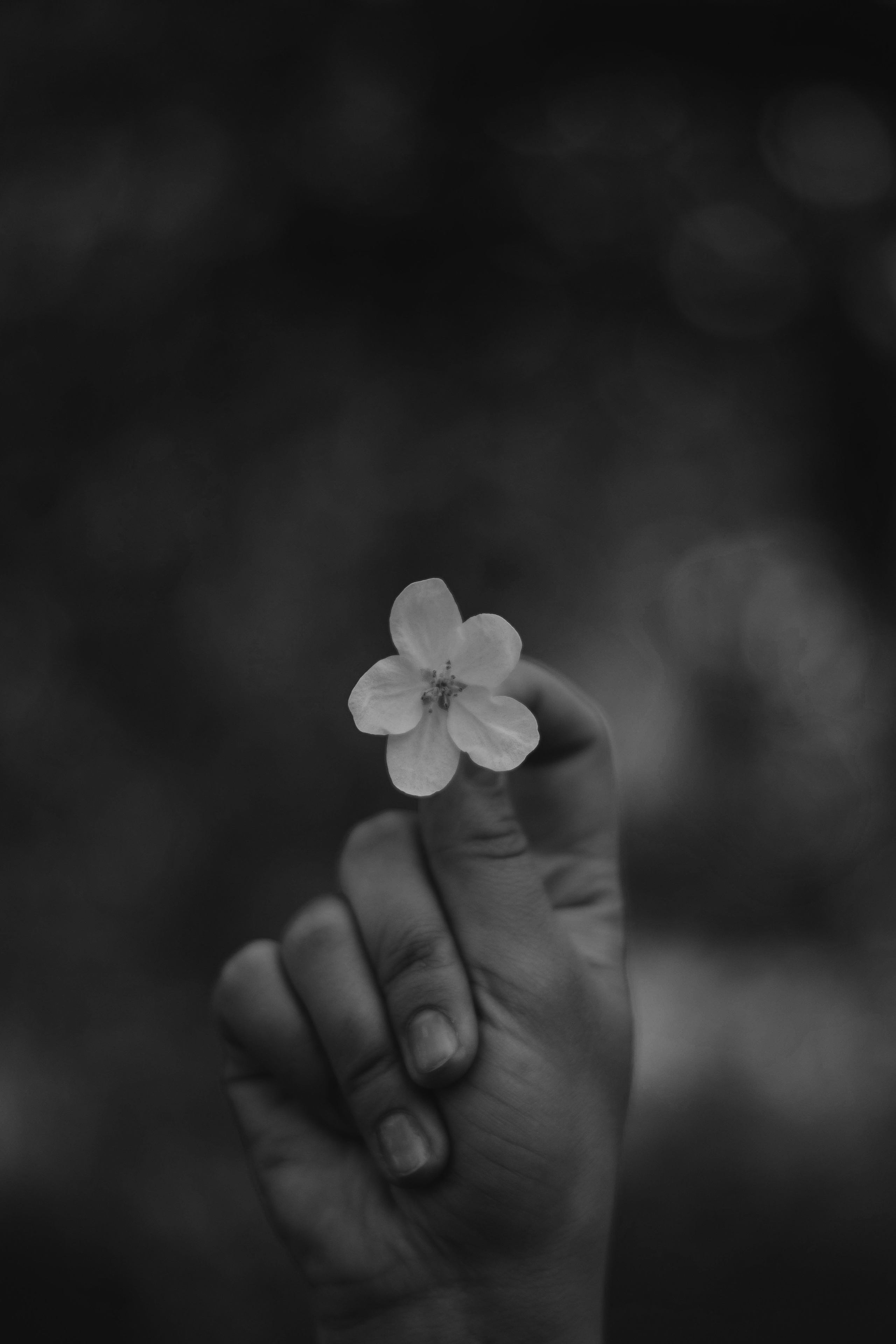 Sofia. Фотограф Барнаул — NAVI / НАВИ