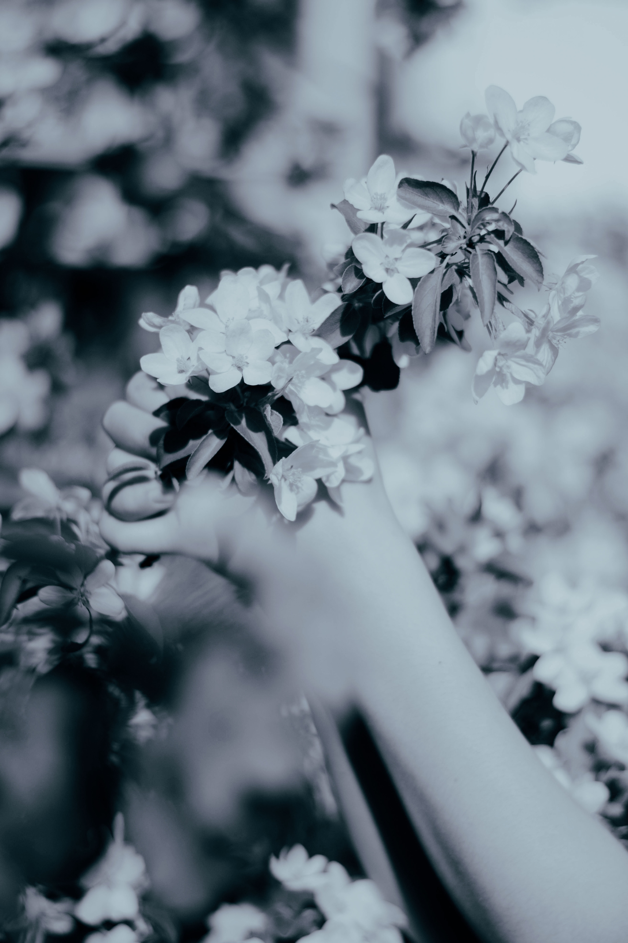 Sofia. Фотограф Барнаул — NAVI / НАВИ