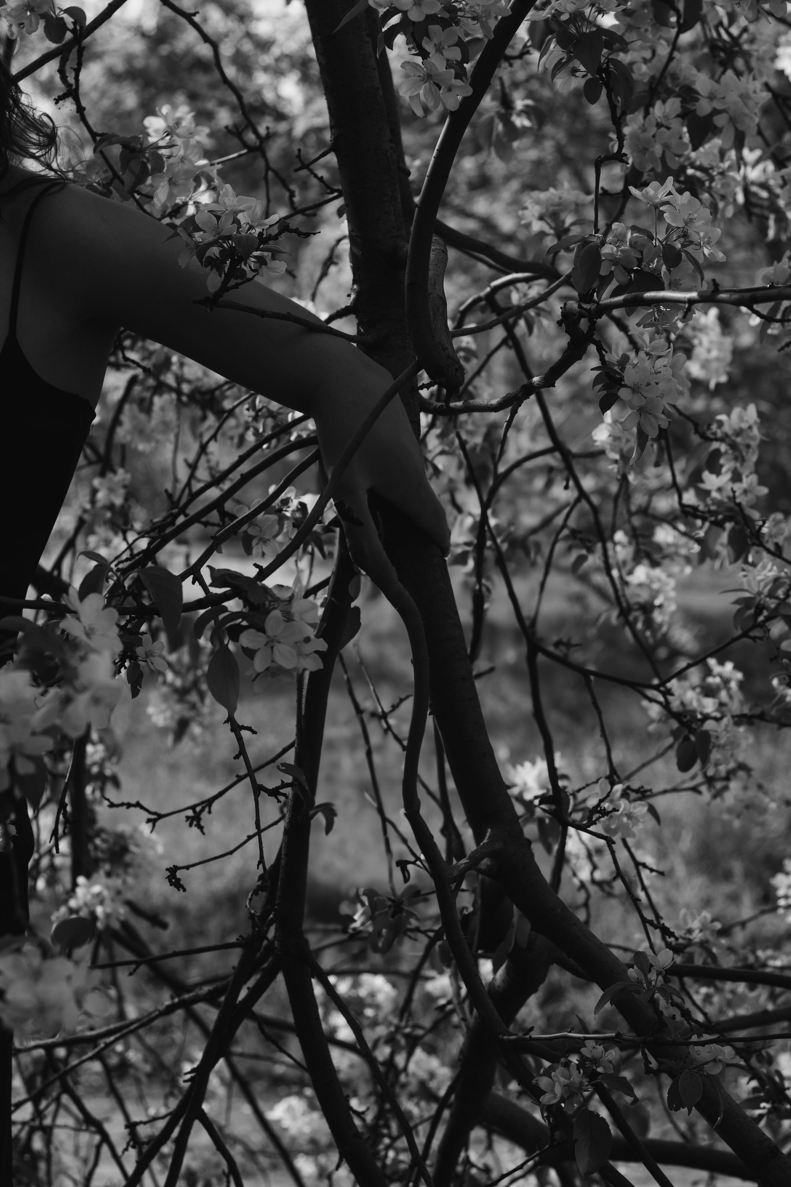 Sofia. Фотограф Барнаул — NAVI / НАВИ