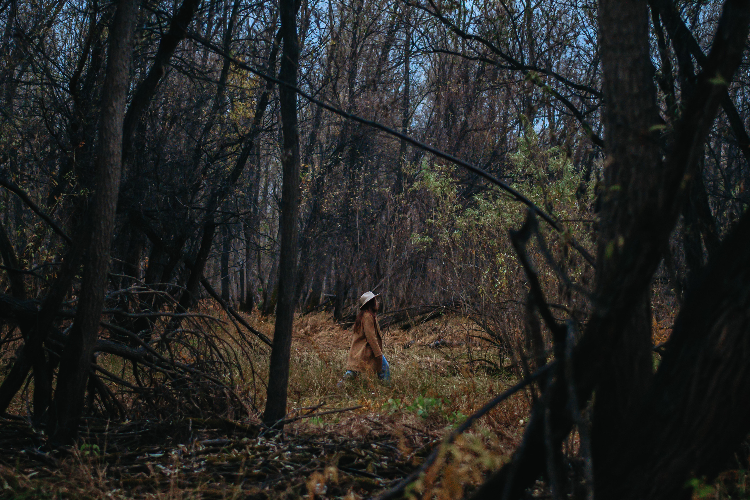 Anna. Фотограф Барнаул — NAVI / НАВИ