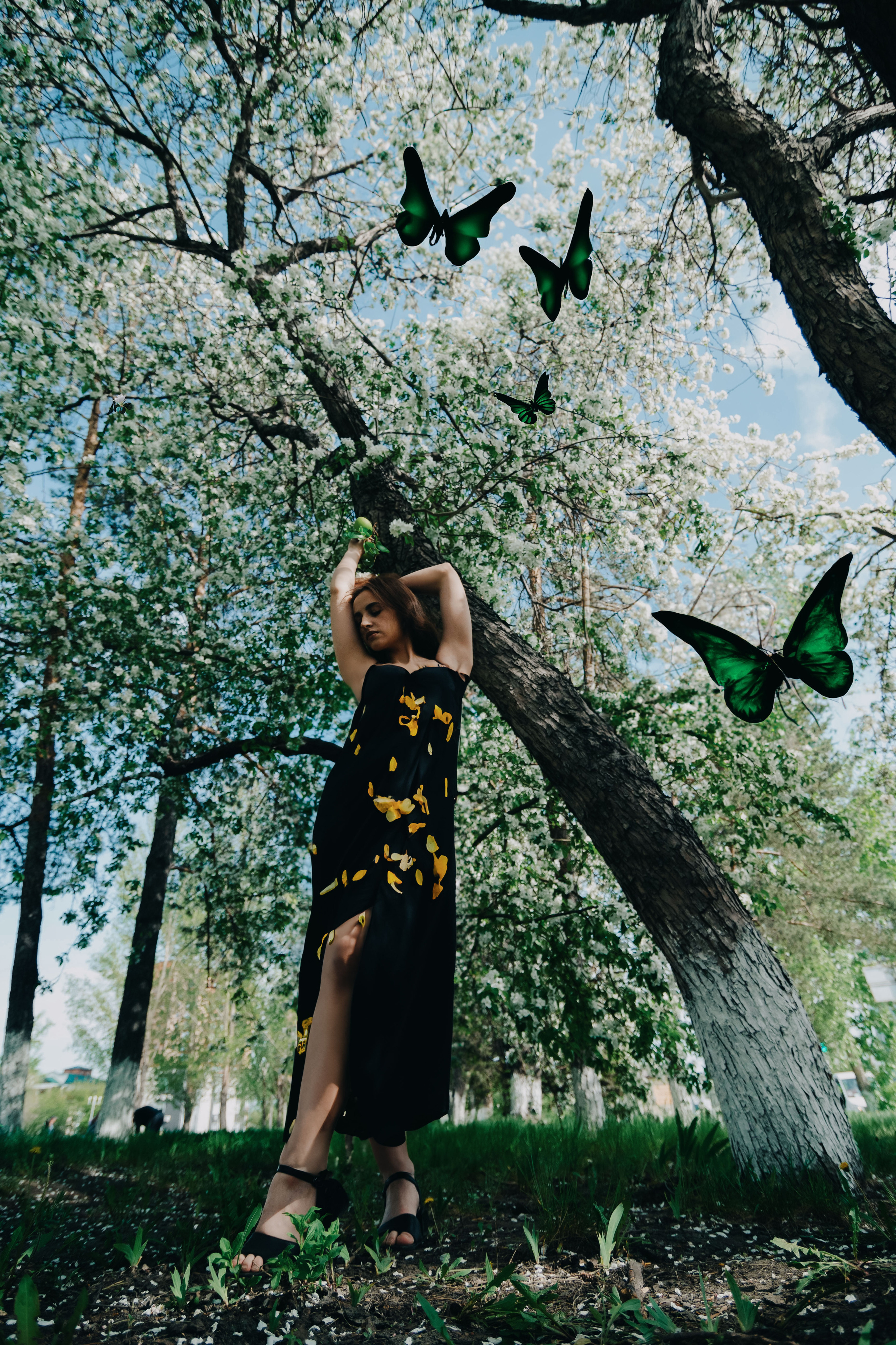 Sofia. Фотограф Барнаул — NAVI / НАВИ