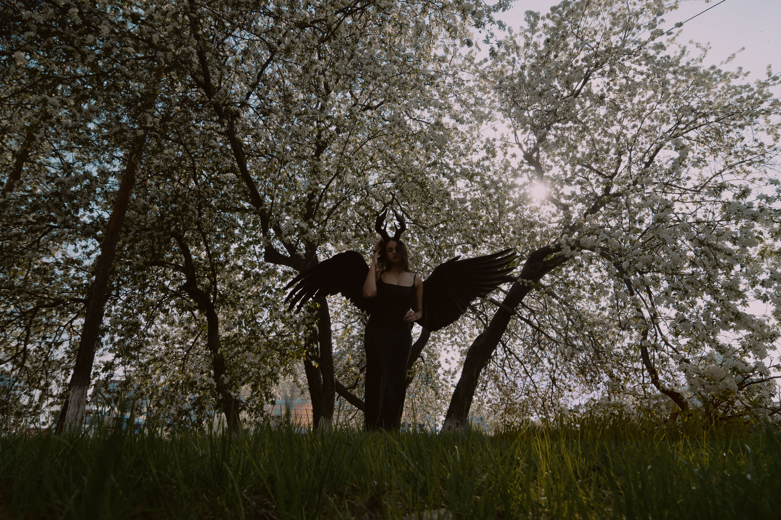 Sofia. Фотограф Барнаул — NAVI / НАВИ