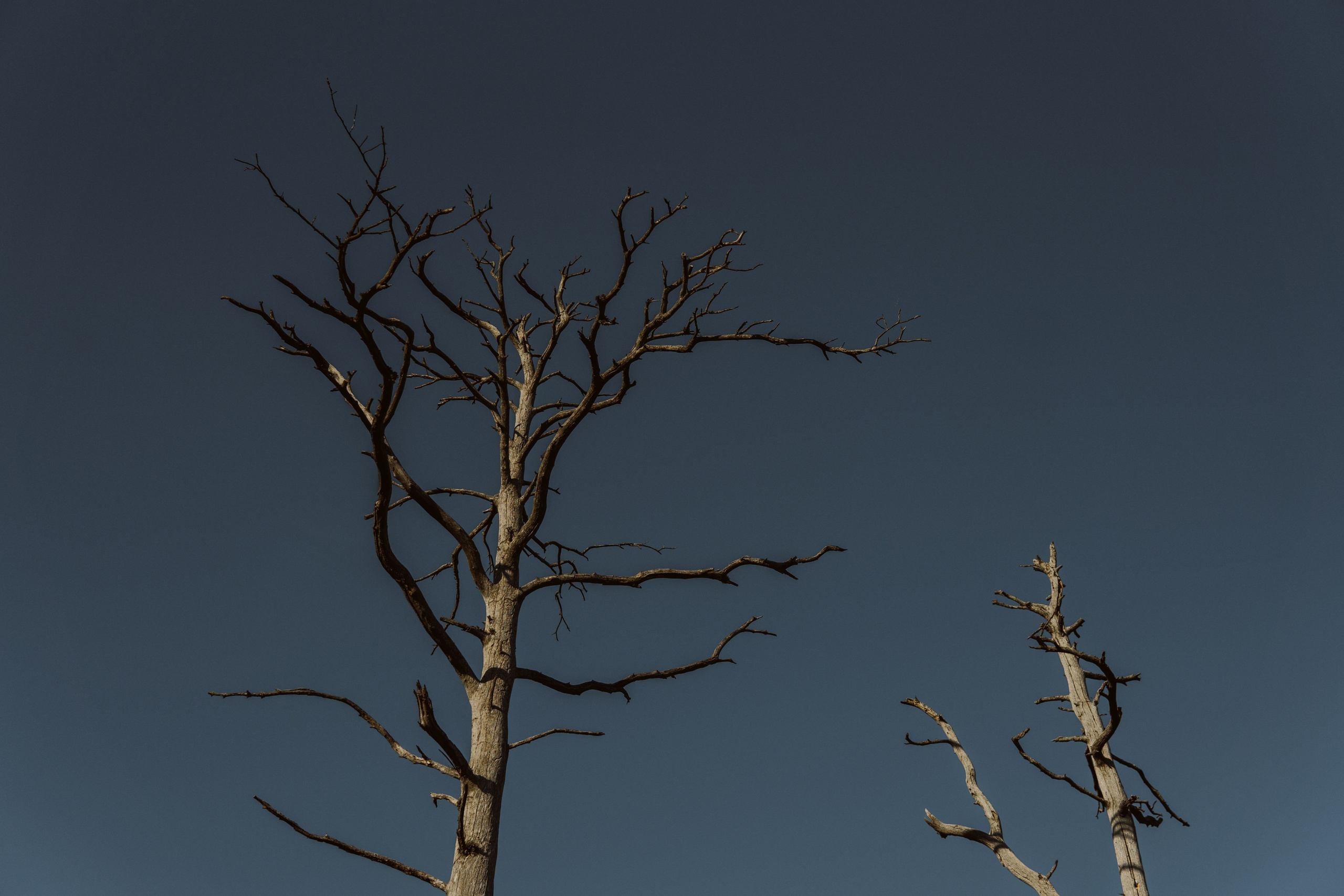 EXHIBITION. Репортажный и интерьерный фотограф, фотохудожник