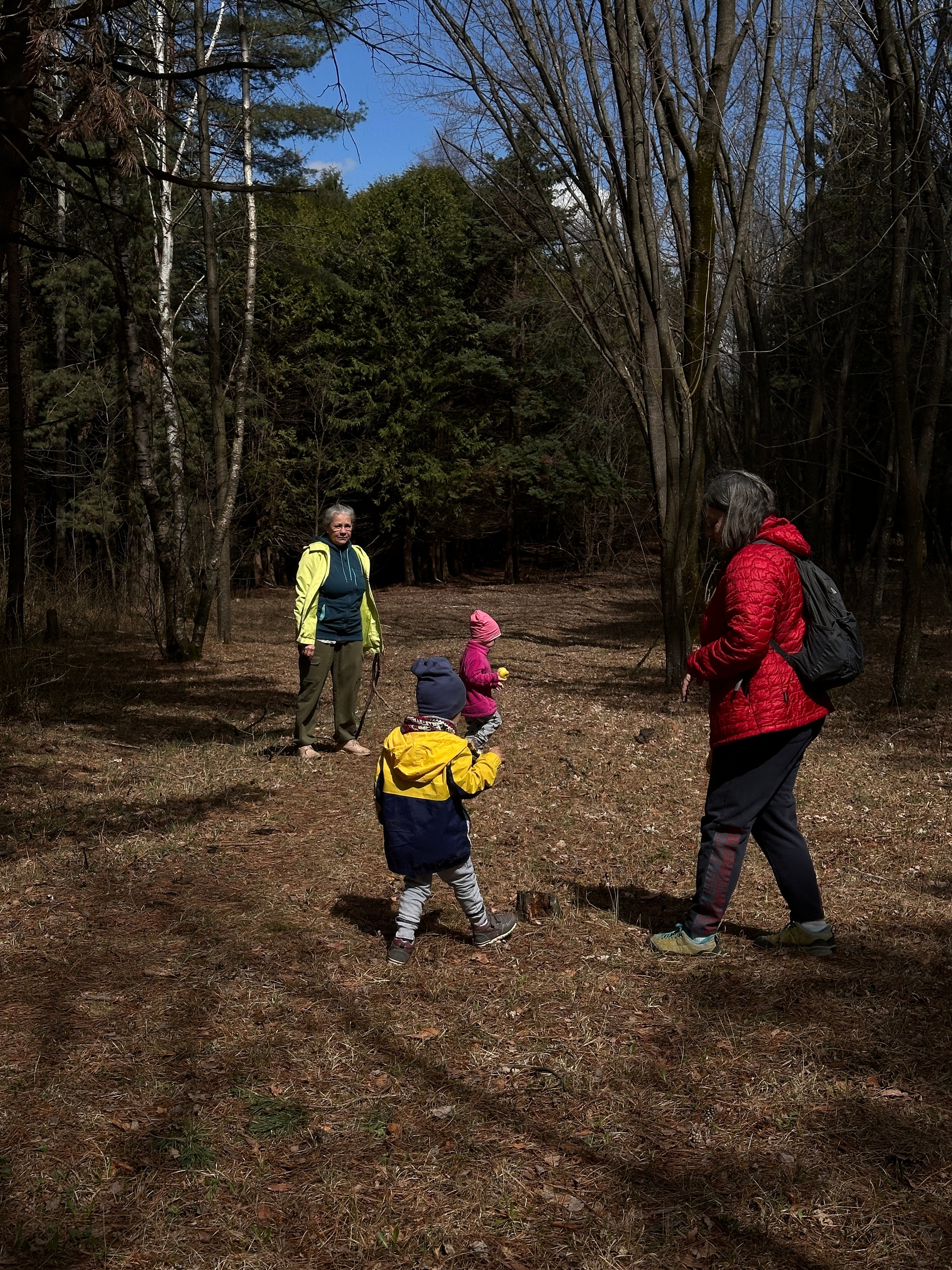Дети. Смотри, красота!