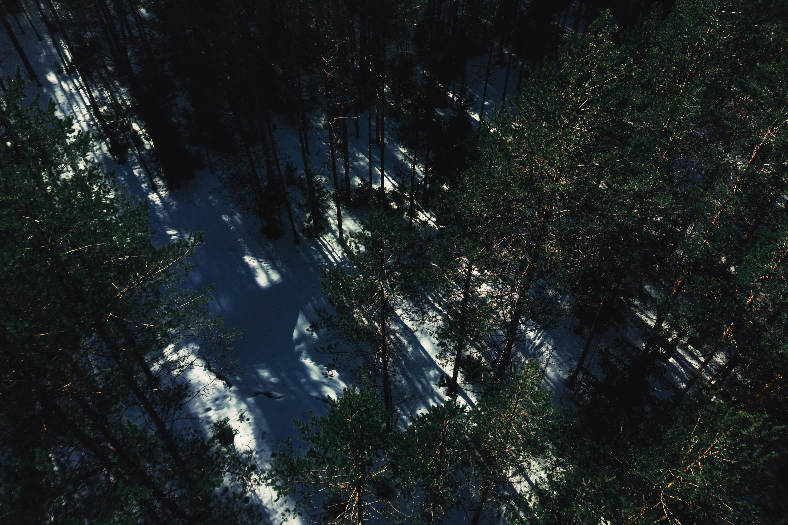 Churza | Фотограф в Санкт-Петербурге | Портретная, репортажная, рекламная съемка