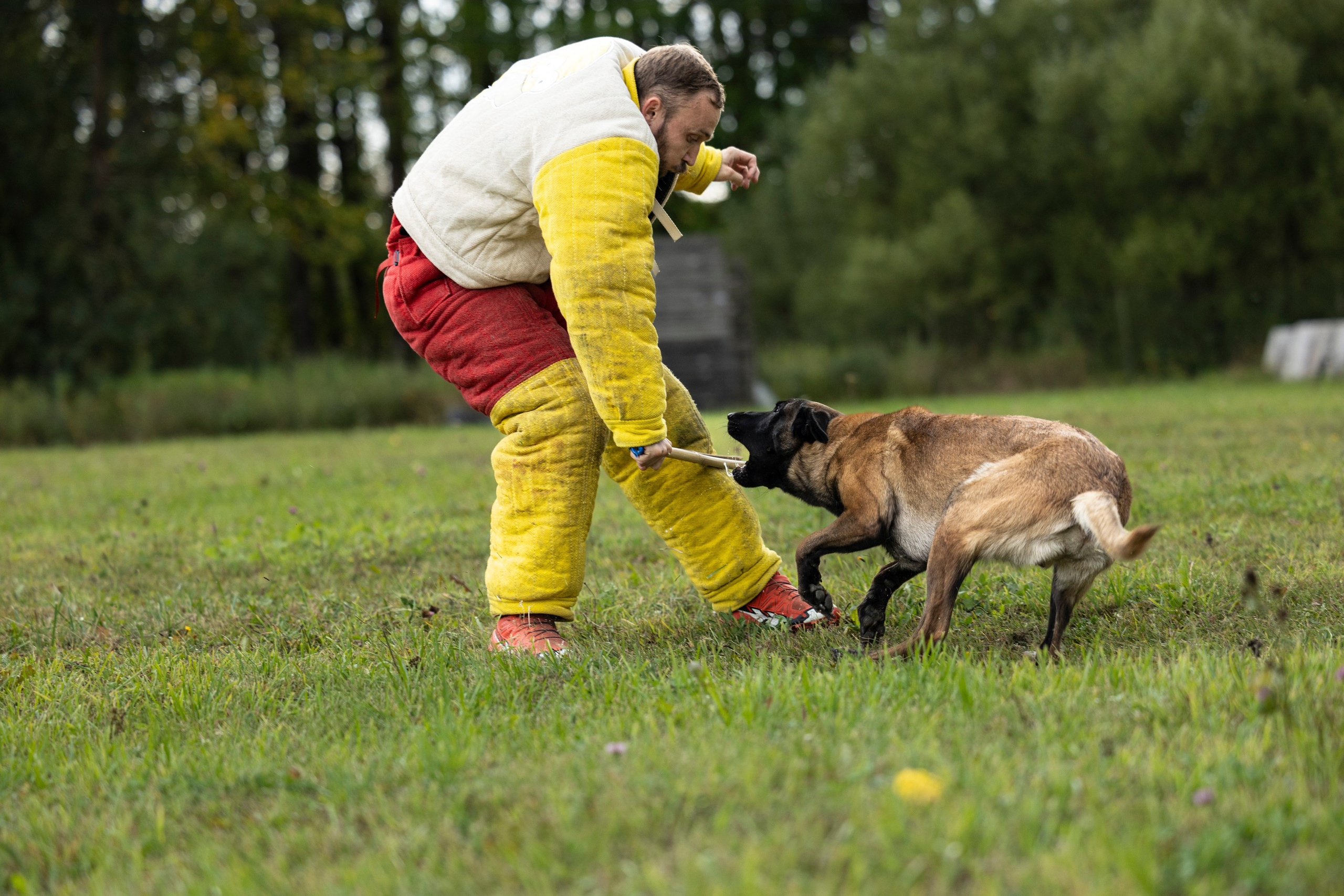 Испытания по Мондьорингу г. Пушкин. Фотограф-анималист Анна Маринич