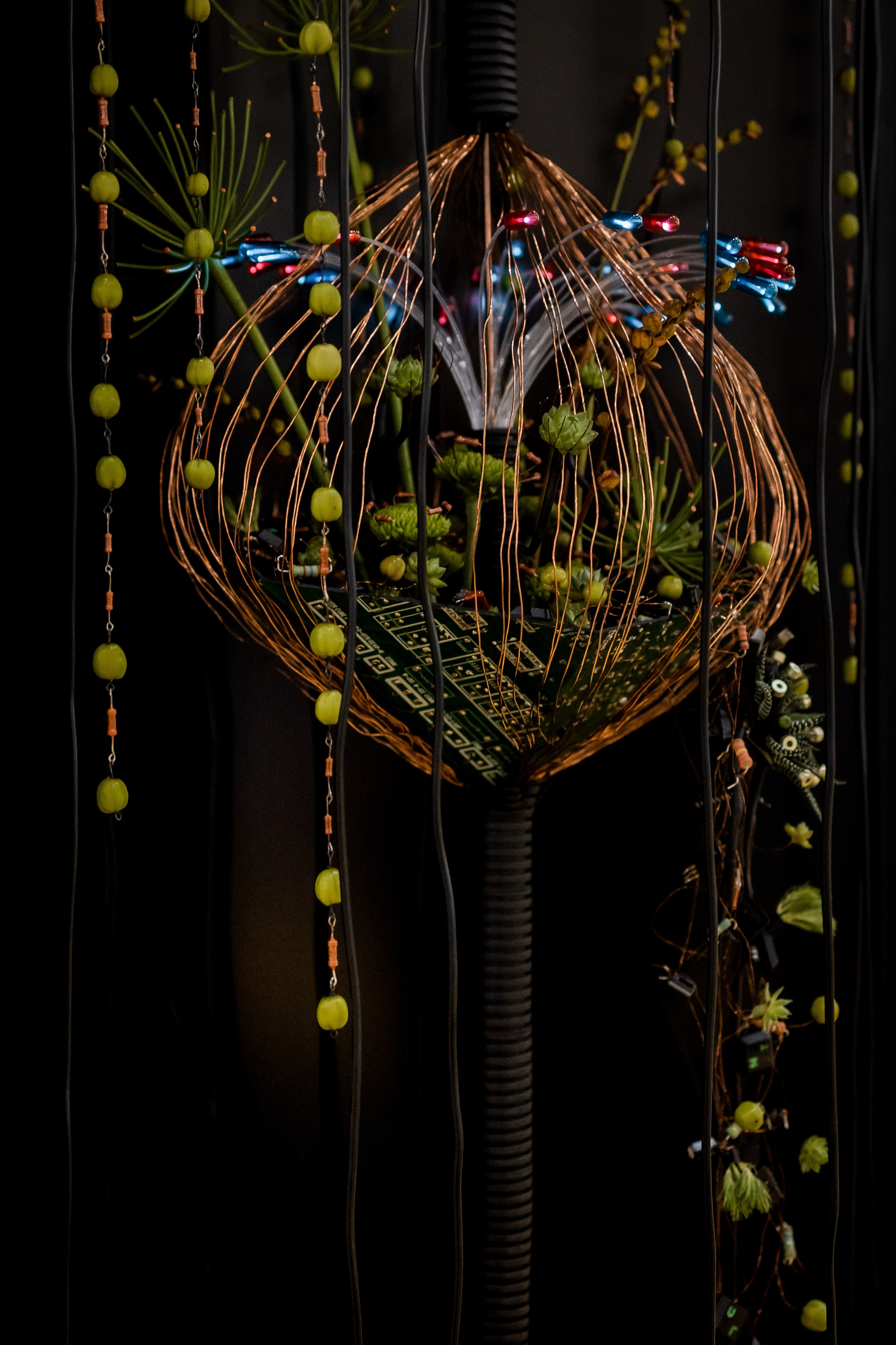 Цветы-Экспо 2025. Фотосессии и репортаж — Фотограф в Москве — Рина Серёгина