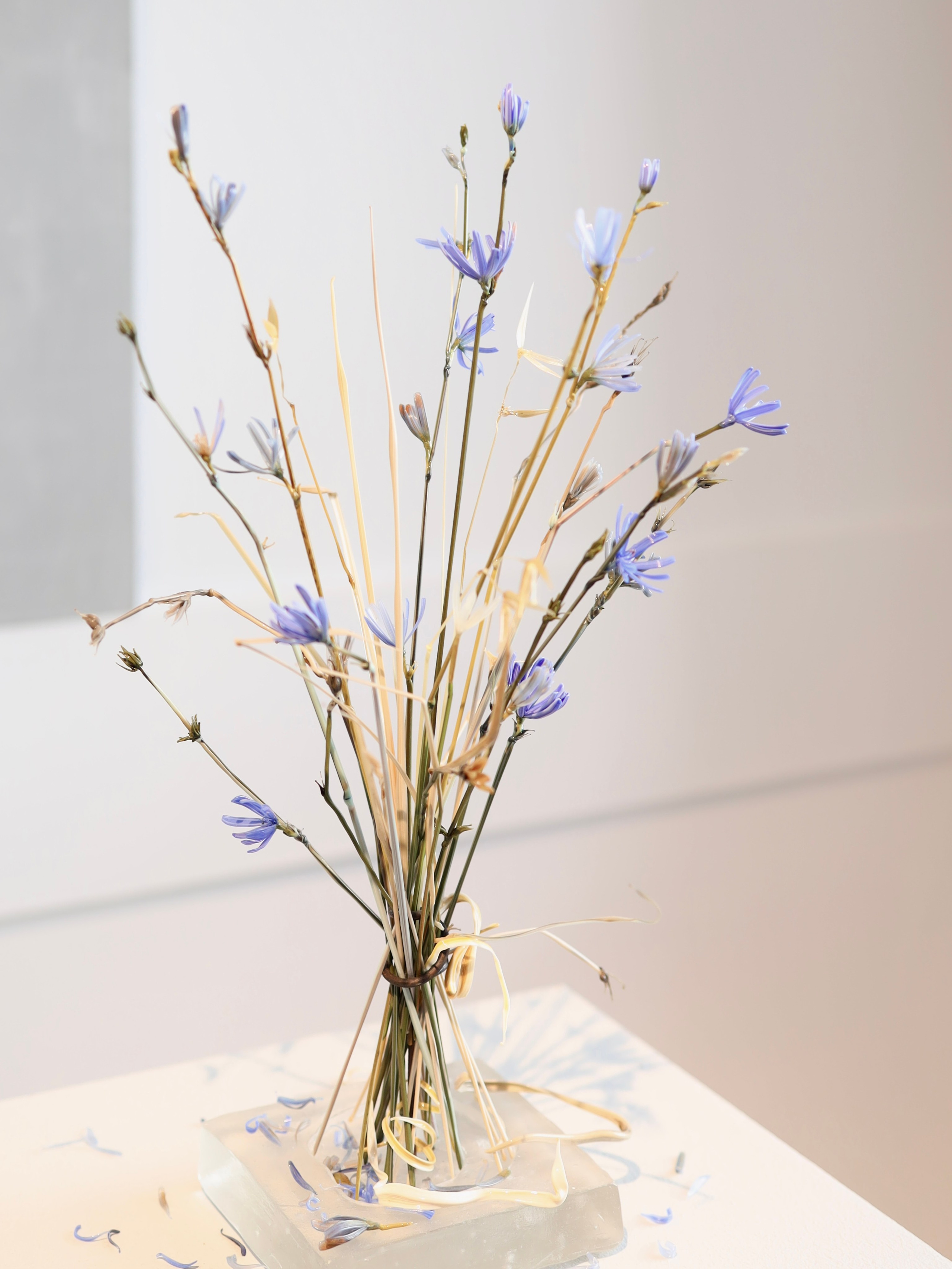 Выставка Степени прозрачности. Фотосессии и репортаж — Фотограф в Москве — Рина Серёгина