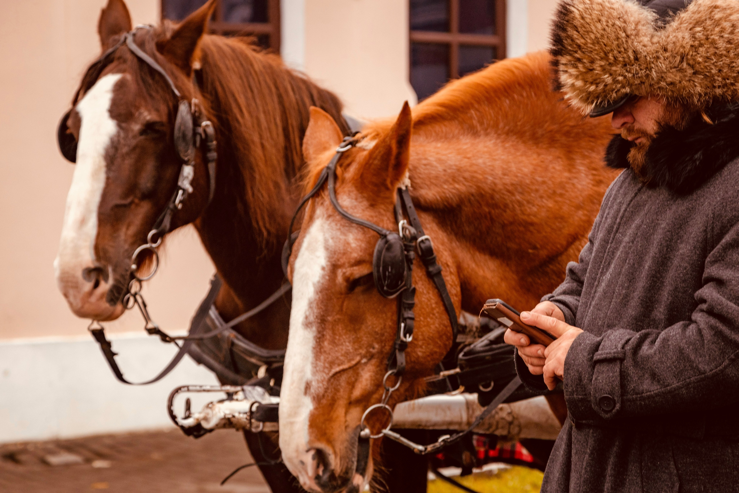 Стрит. Фотограф в Москве — Рина Серёгина — съёмка в студии и репортаж