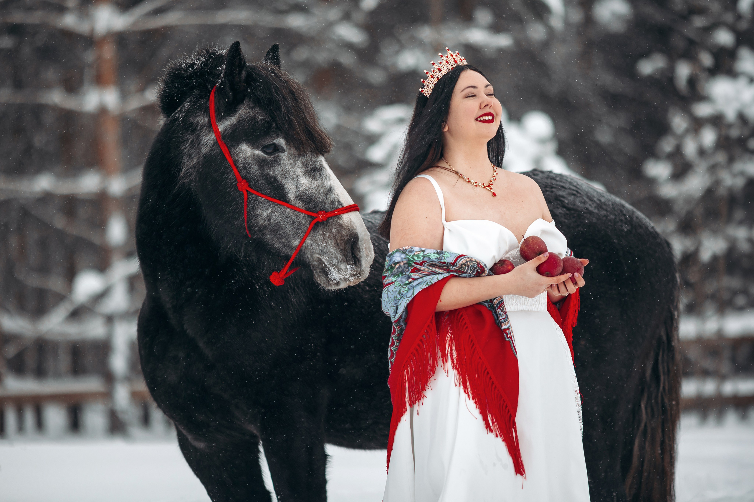 Яблоки на снегу. Анна Молчанова конный фотограф в Тюмени | фотосессии с лошадьми Тюмень