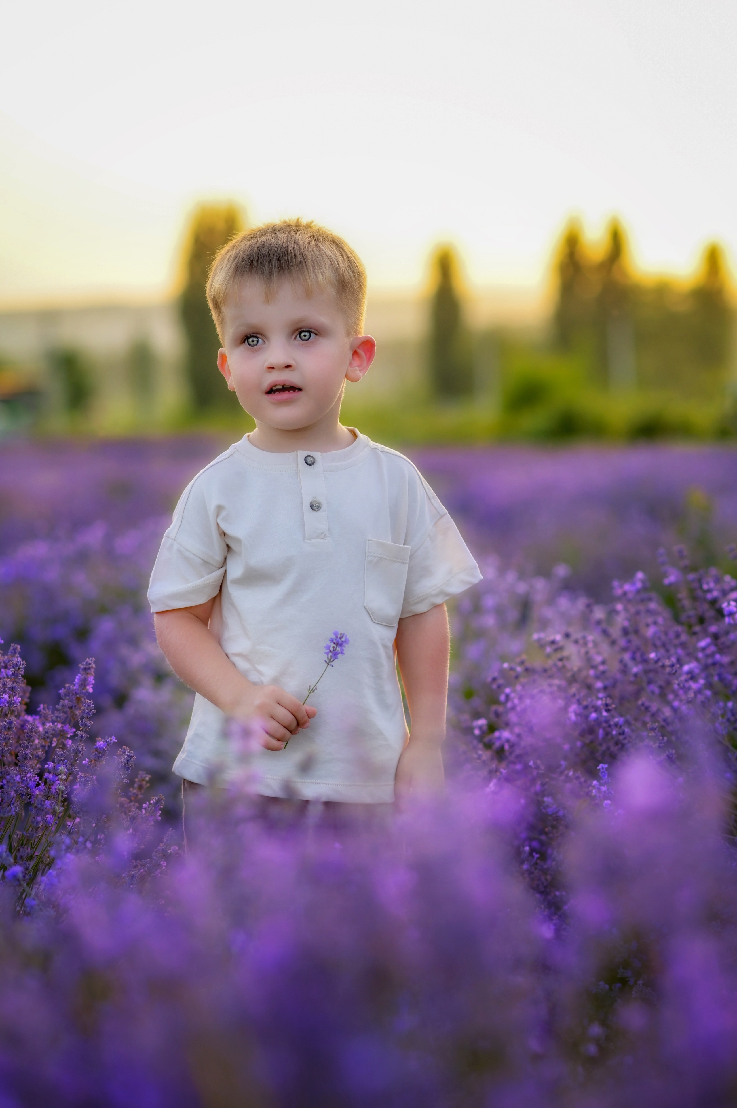 Лаванда. Семейный и детский фотограф Анапа
